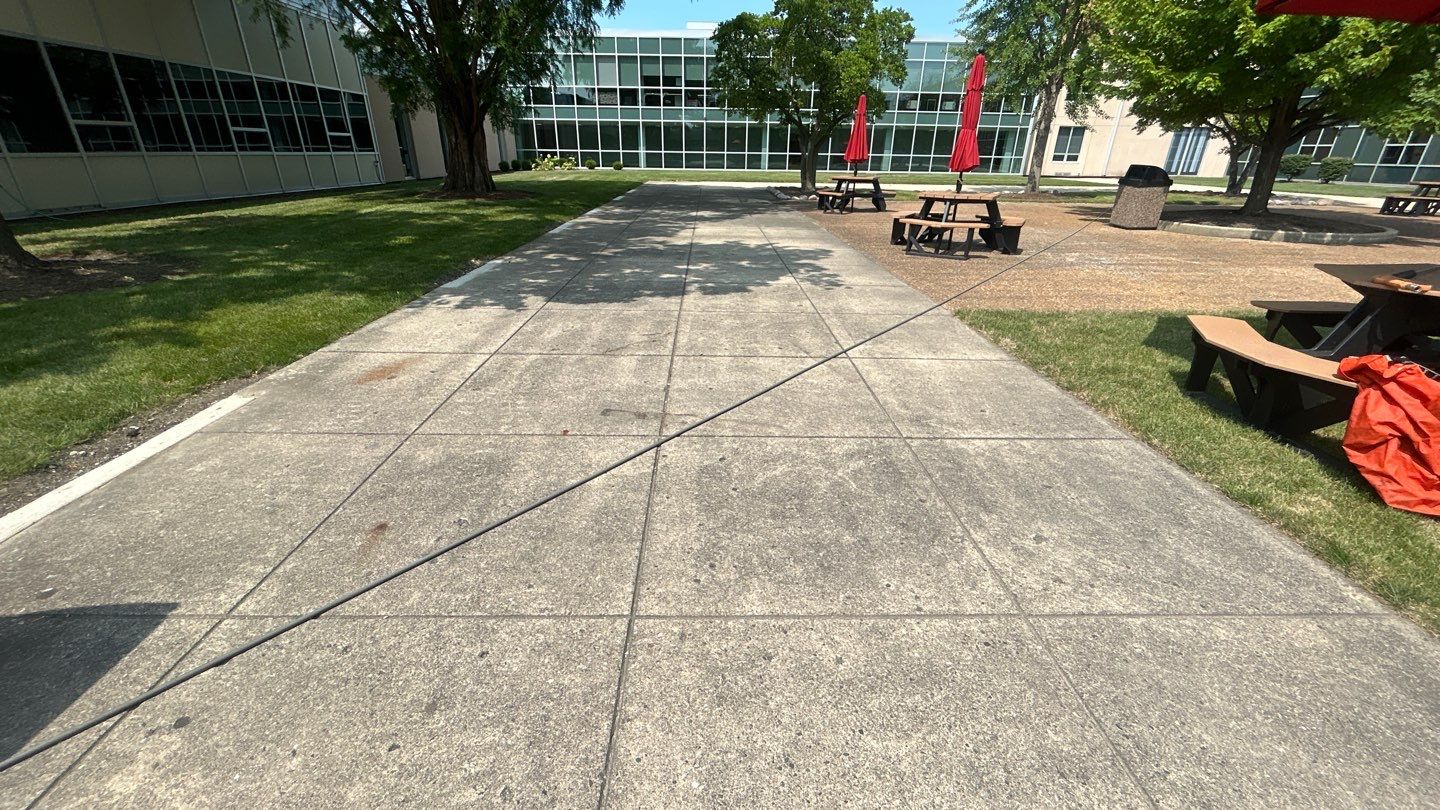 concrete using Algaecide, soft wash soap by Northern Power Washing LLC.