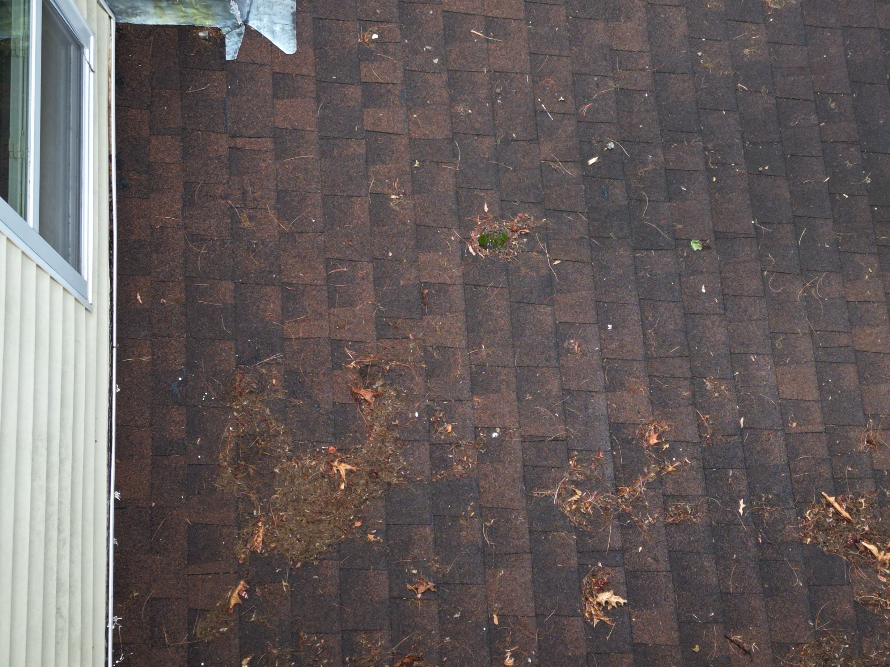 Roof, Window, and Wall Flashing Upgrade in Groton, MA by Mighty Dog Roofing of Greater Middlesex County