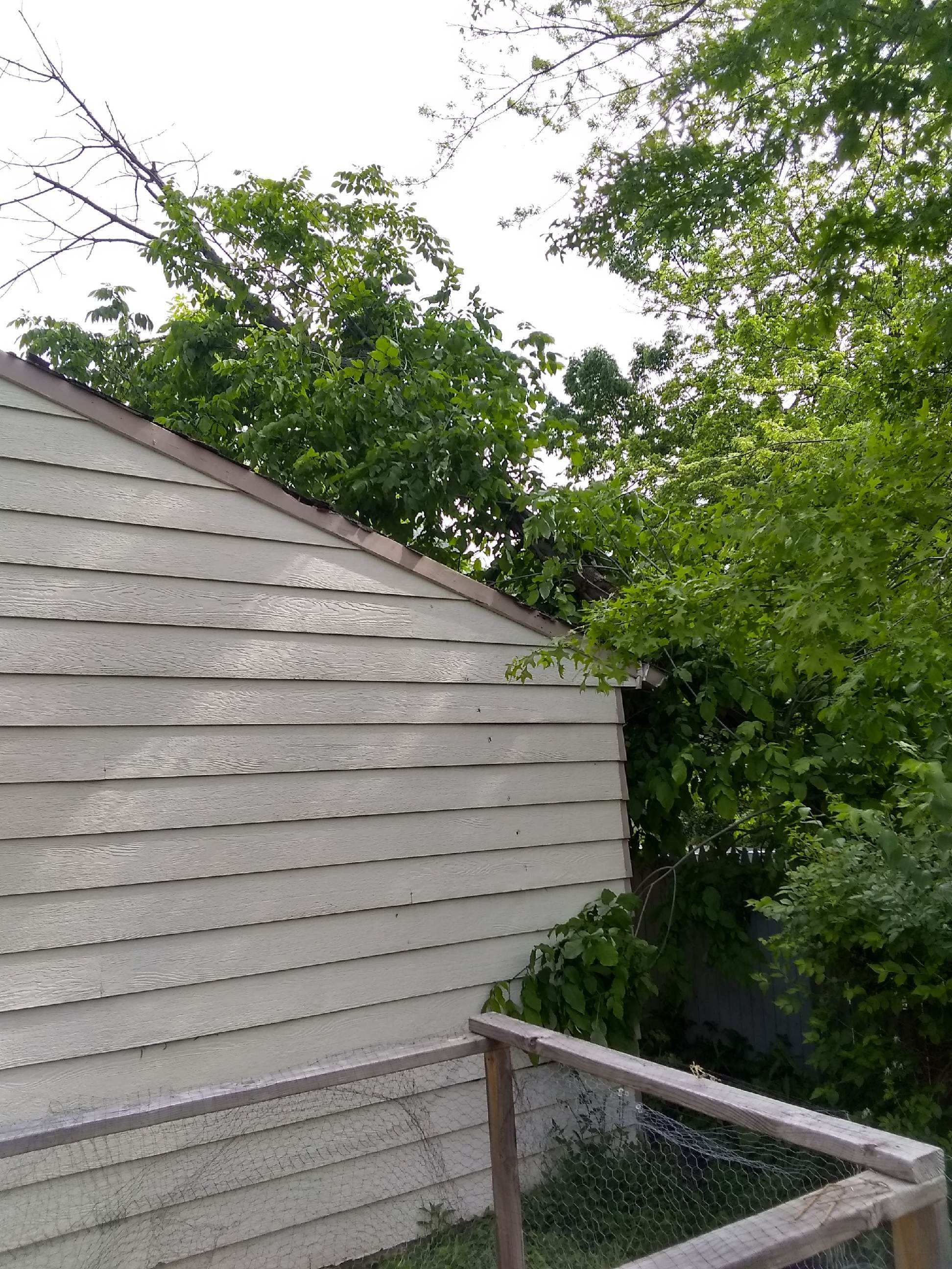 Tree Removal using Tree Removal by Mike Jones & Sons Tree Service LLC 