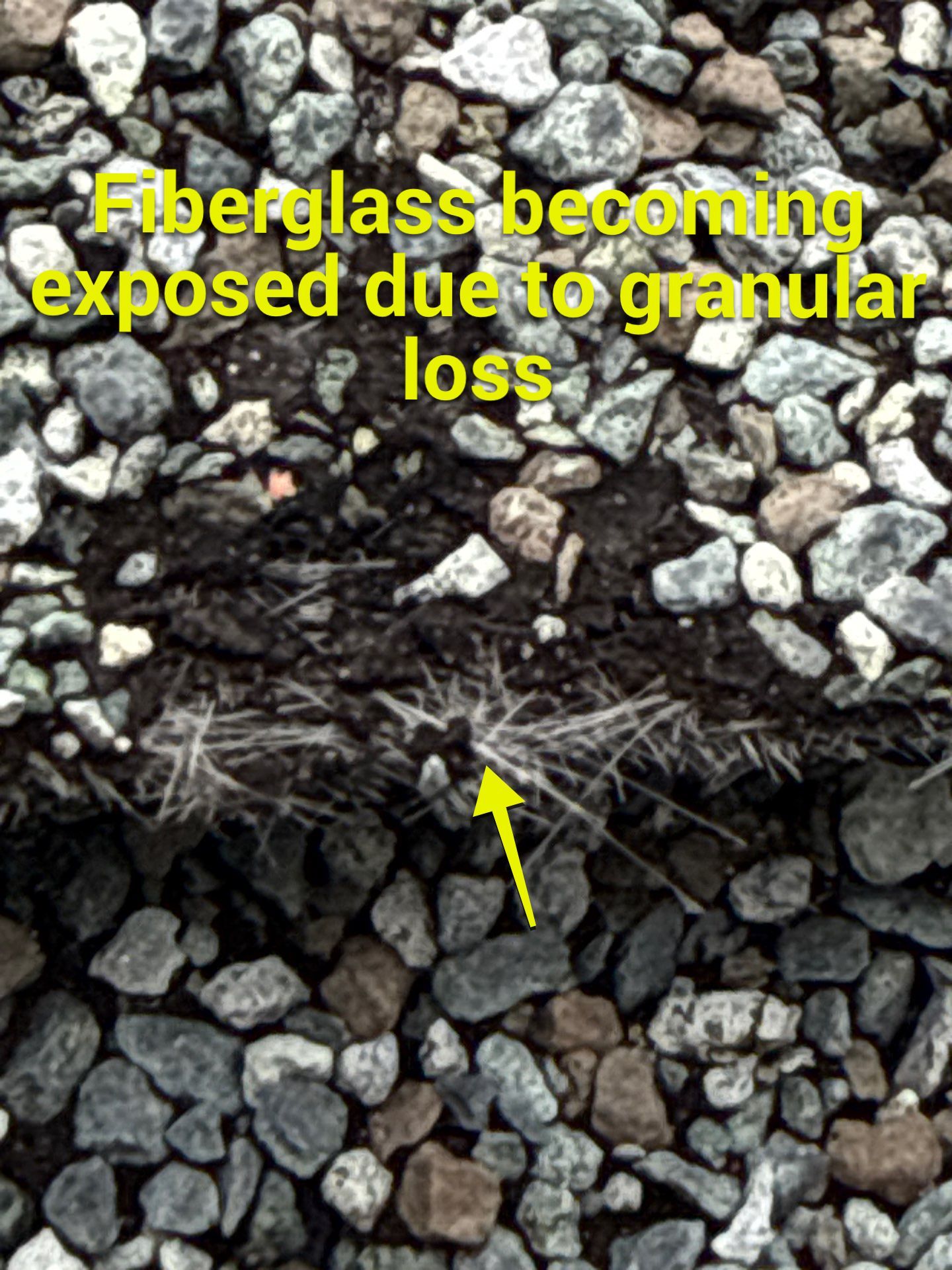 Project in Richmond by Roof Maxx of Midlothian