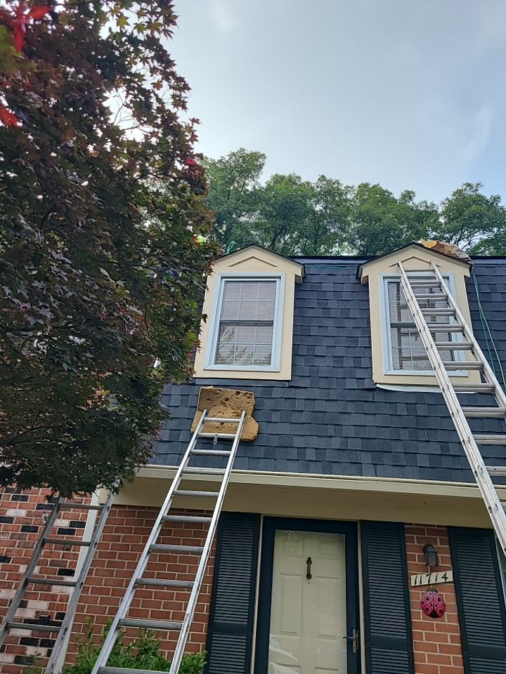 Reston: CertainTeed Landmark Pro Architectural Shingles in Max Def Moire Black by RM Banning, Inc.