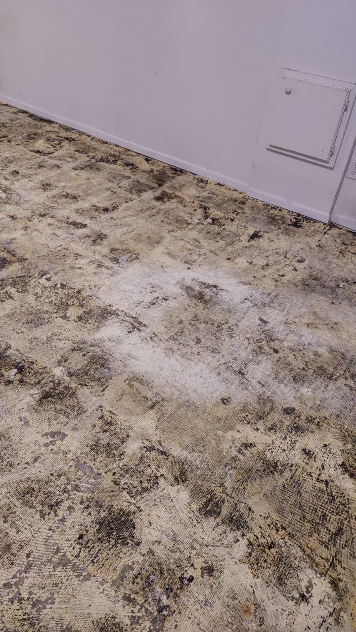 Water Damage by Accountable Home Services