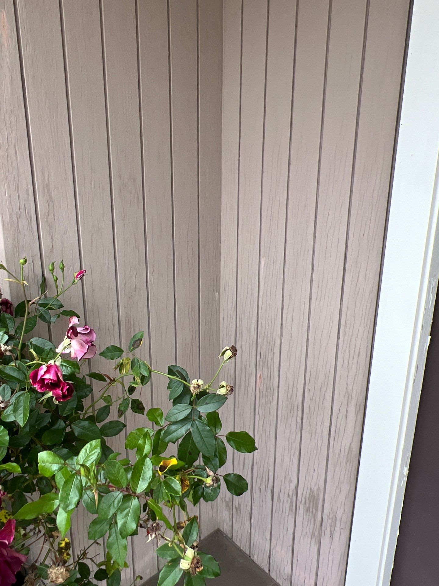Huntington Beach Complete Exterior Painting by Beach City Painting