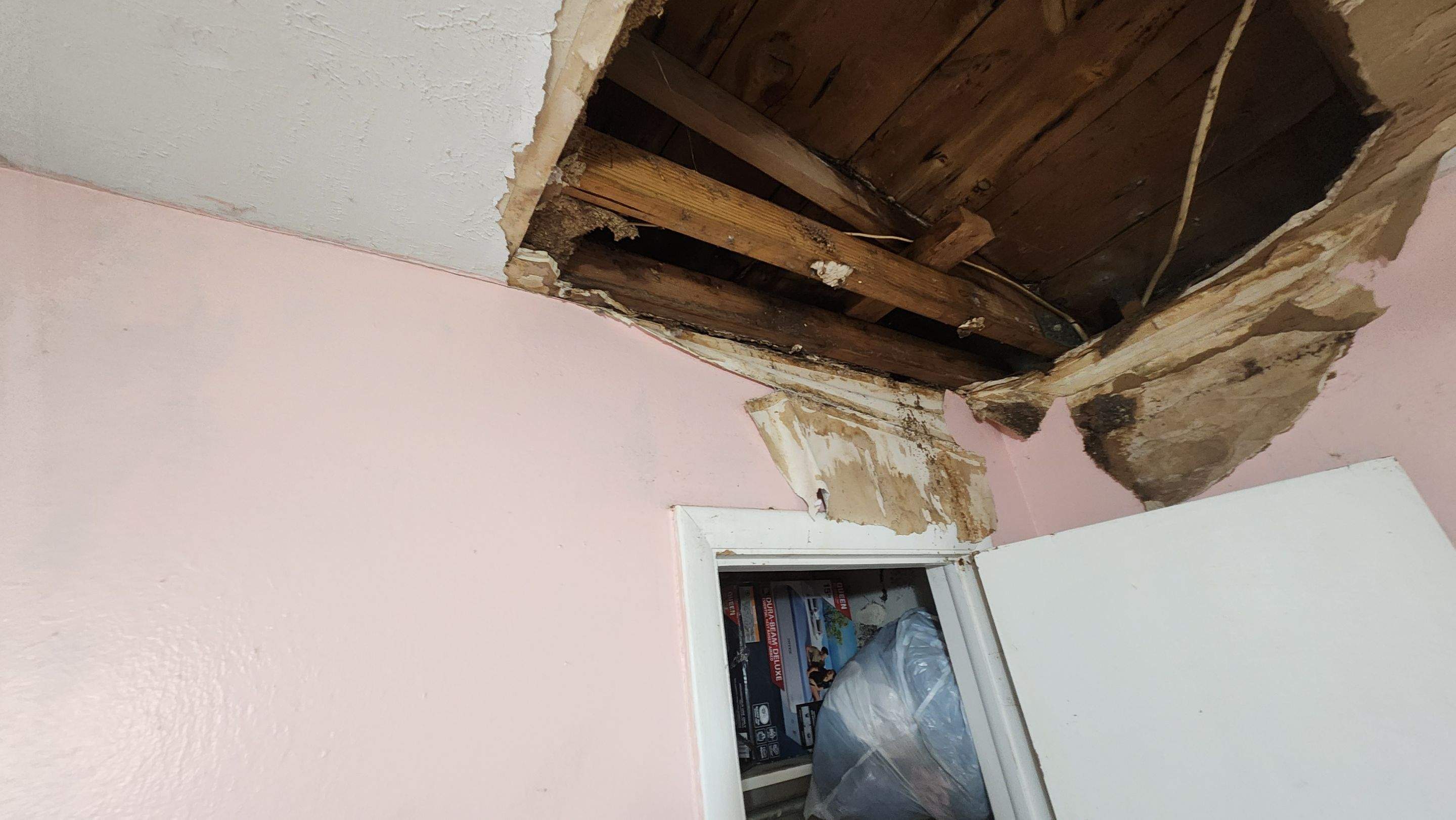 Tree Damage Claim in Orlando by FLAPA & KeyStone