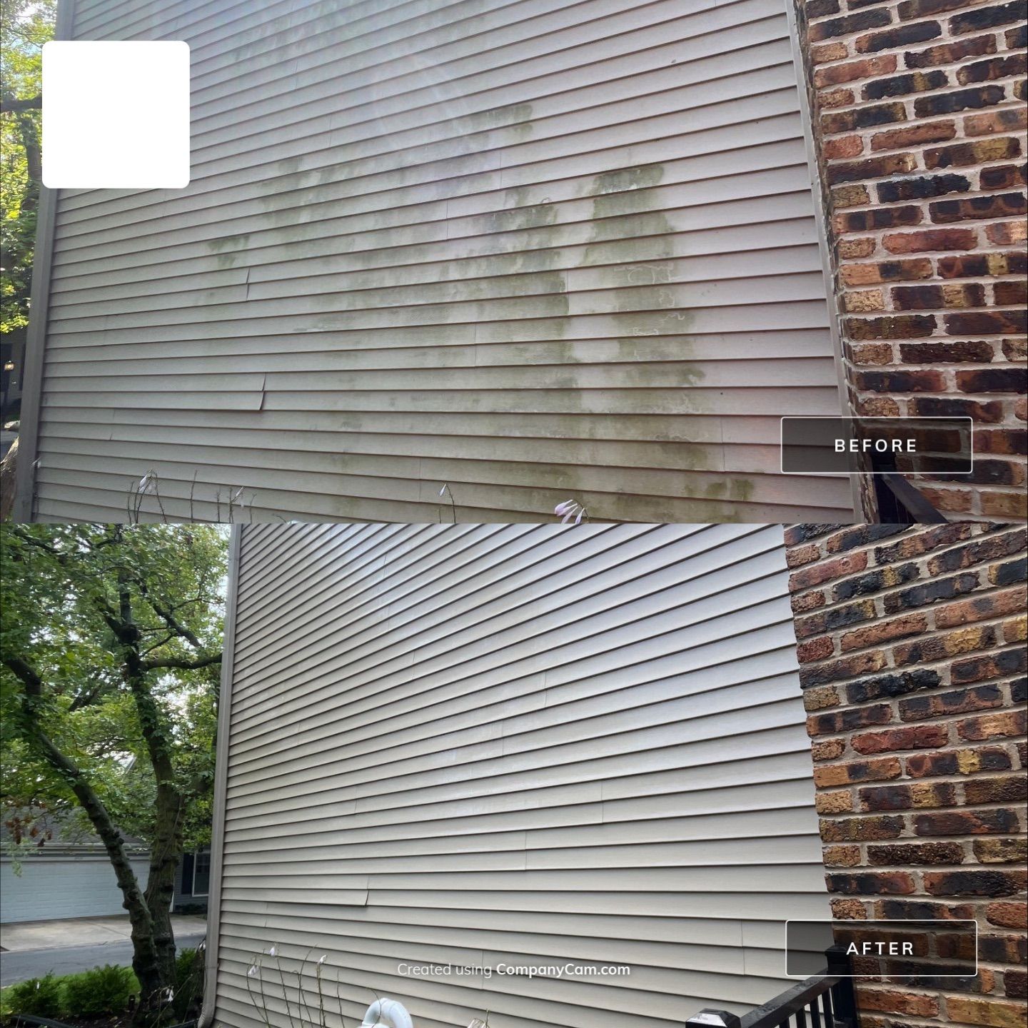 Housewashing  using Algaecide, soft wash soap by Northern Power Washing LLC.