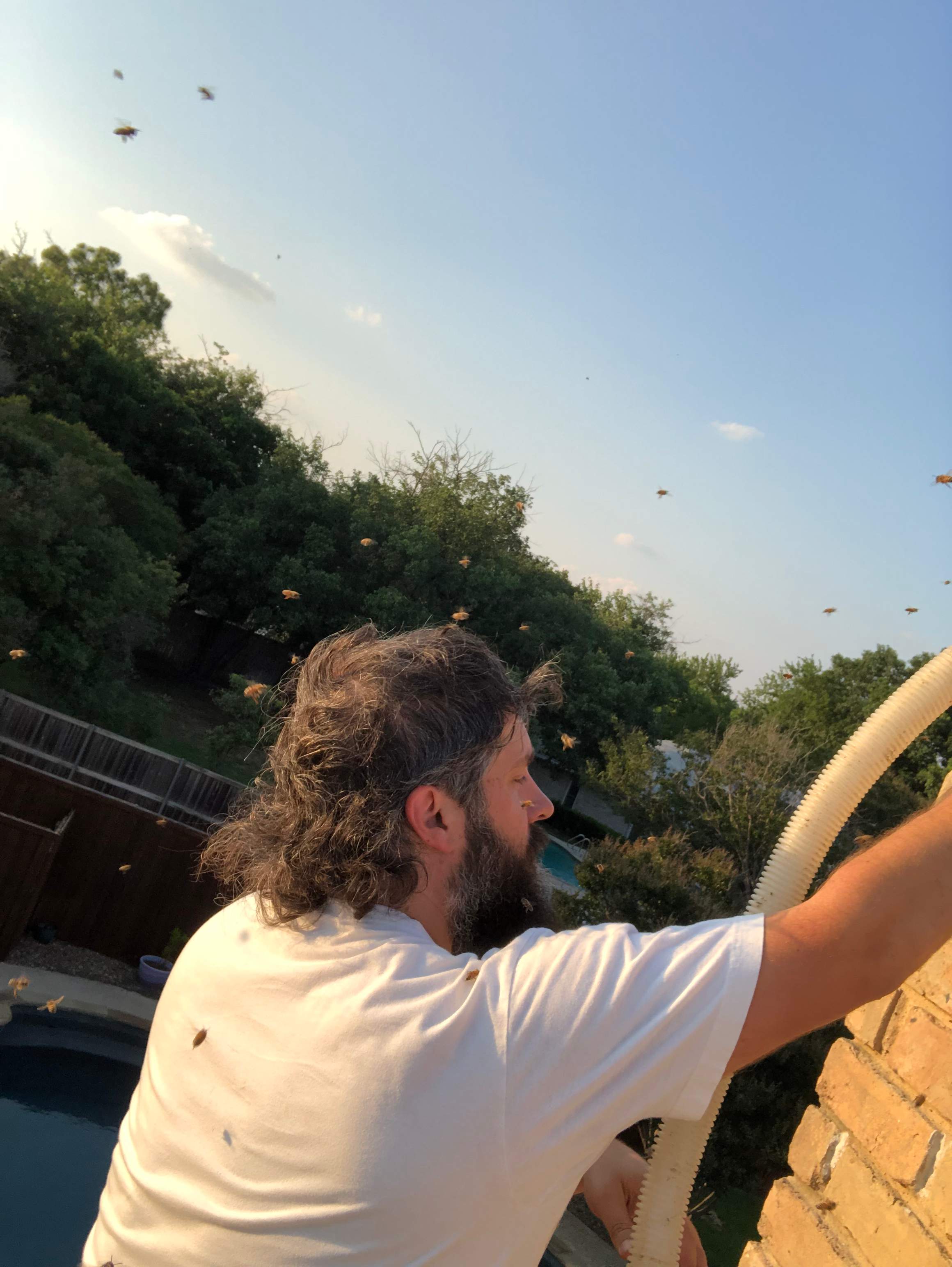 Chimney by Rockwall Honey Bee Company