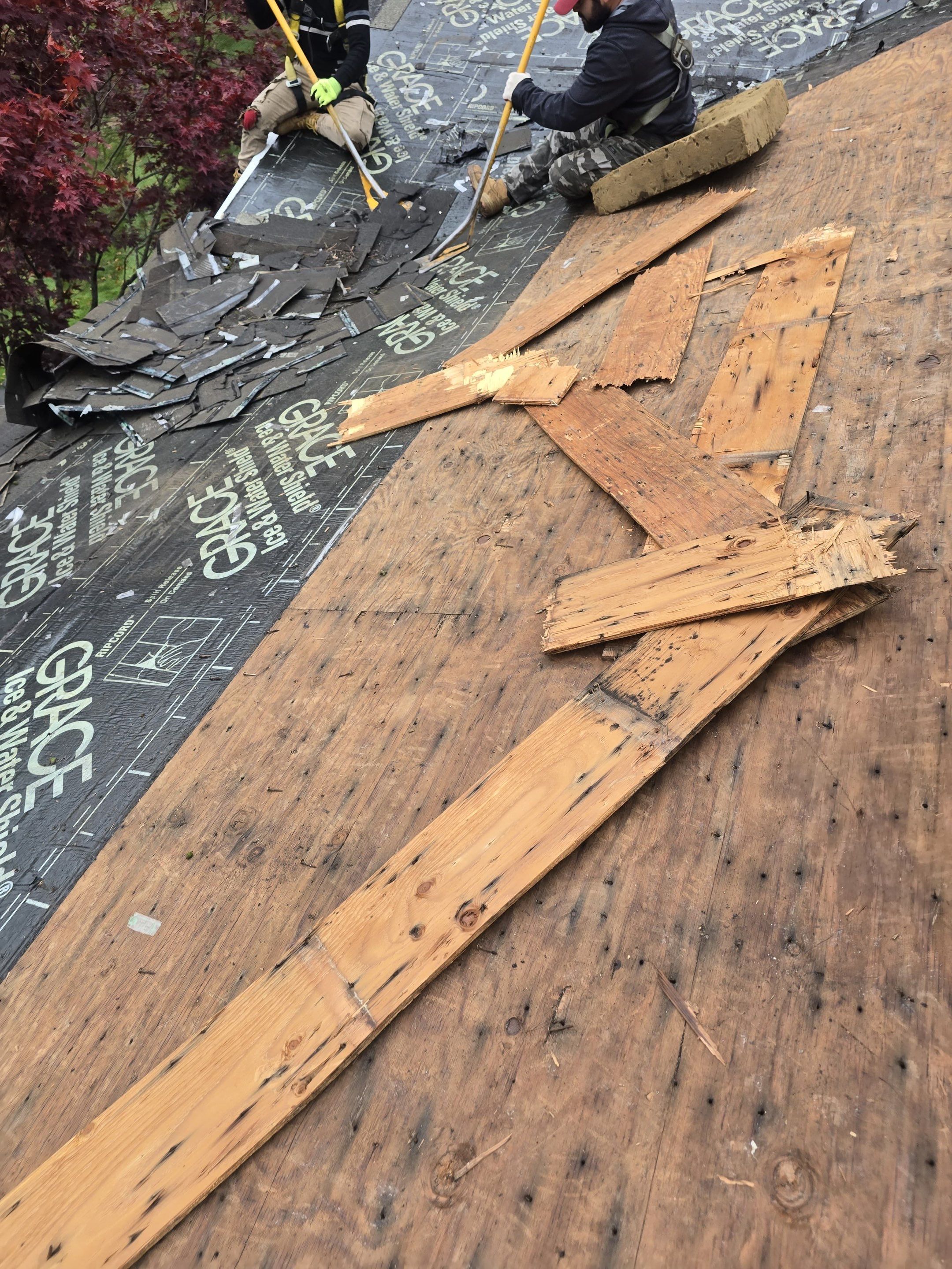 Chelmsford Complete Roof Replacement in Onyx Black with Balanced Ventilation by Mighty Dog Roofing of Greater Middlesex County