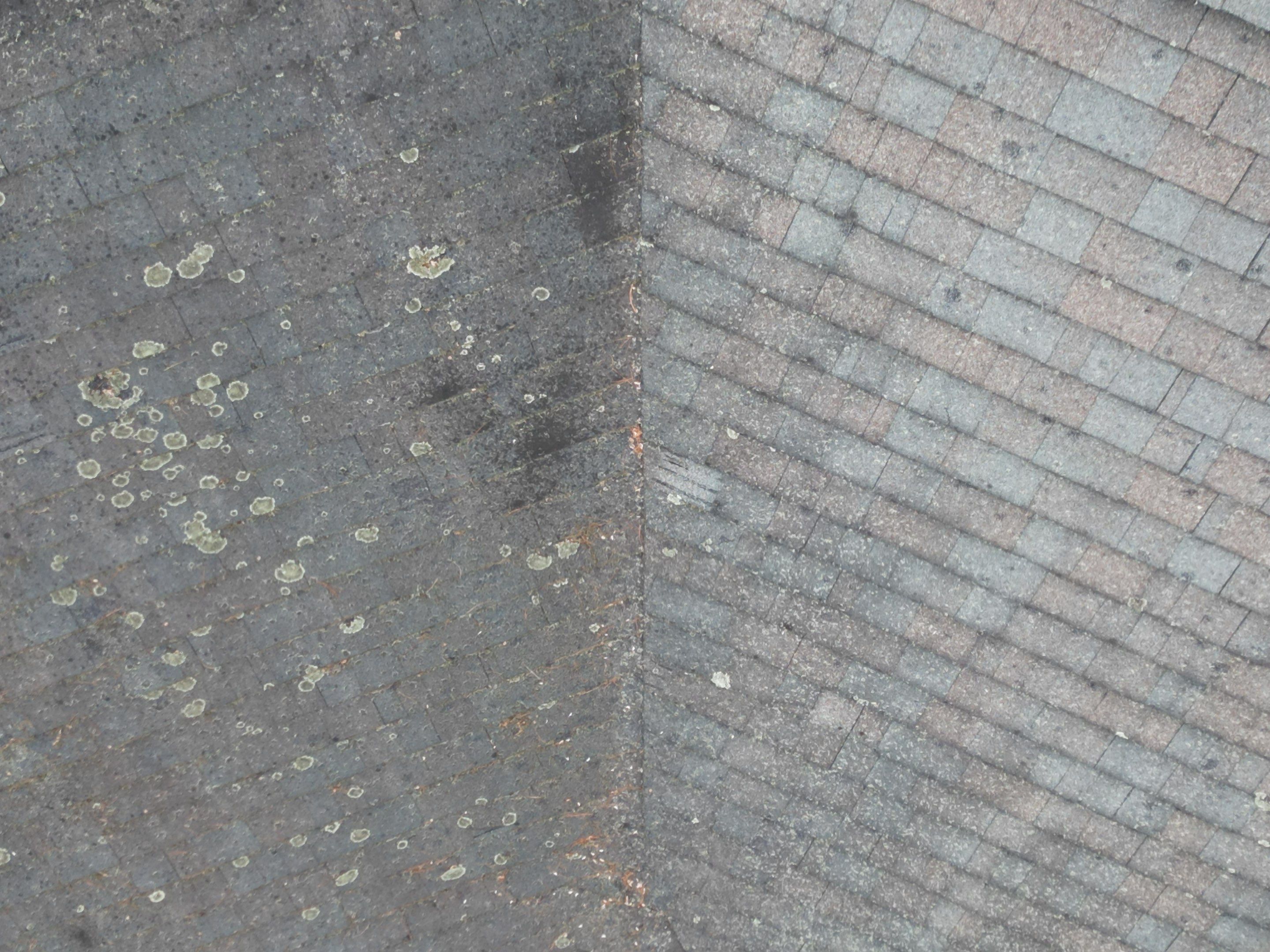 Asphalt Shingle Roof Replacement | Billerica, MA by Mighty Dog Roofing of Greater Middlesex County