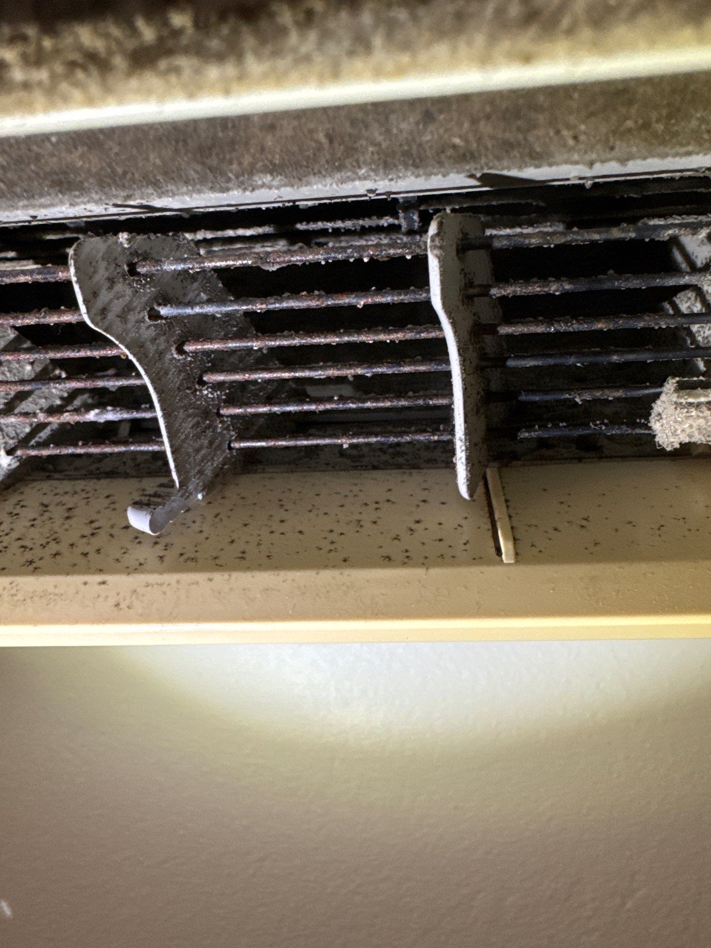New Paltz, NY — Mini-Split Deep Clean & Biological Growth Removal by Shelter Air
