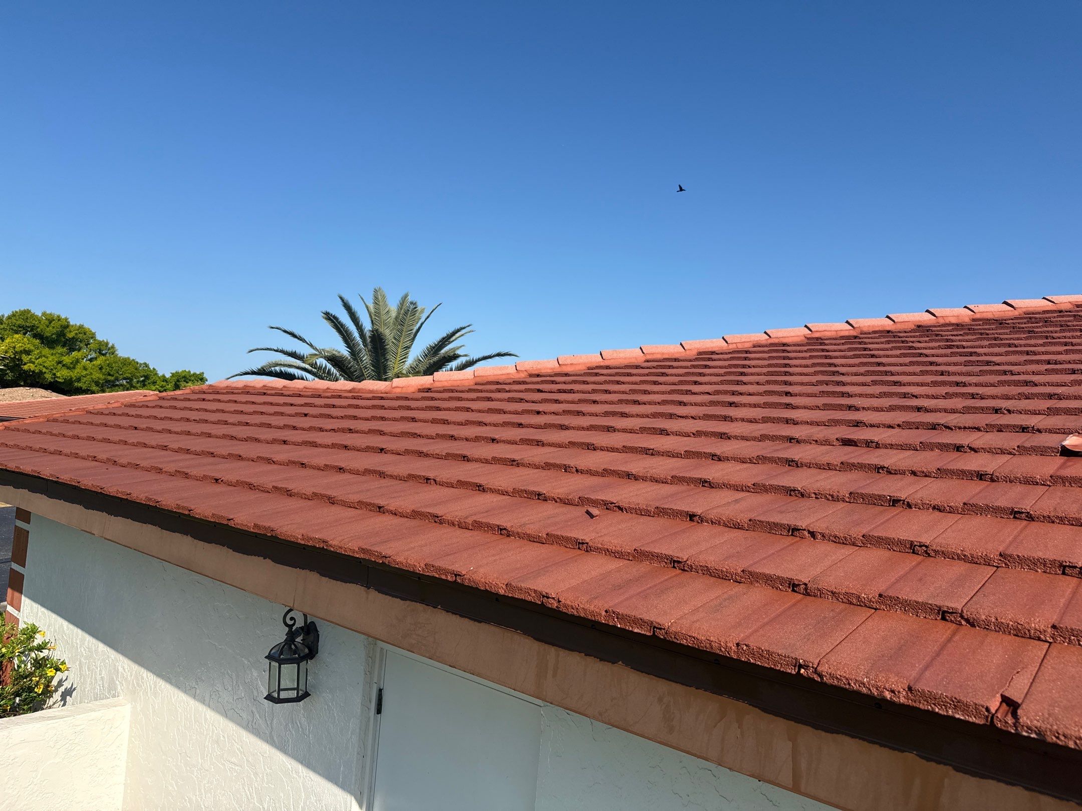 Tile Roof Cleaning – Vivenda at Bradenton I (5-Star Review & Plant Protection) by Sunshine AquaWash