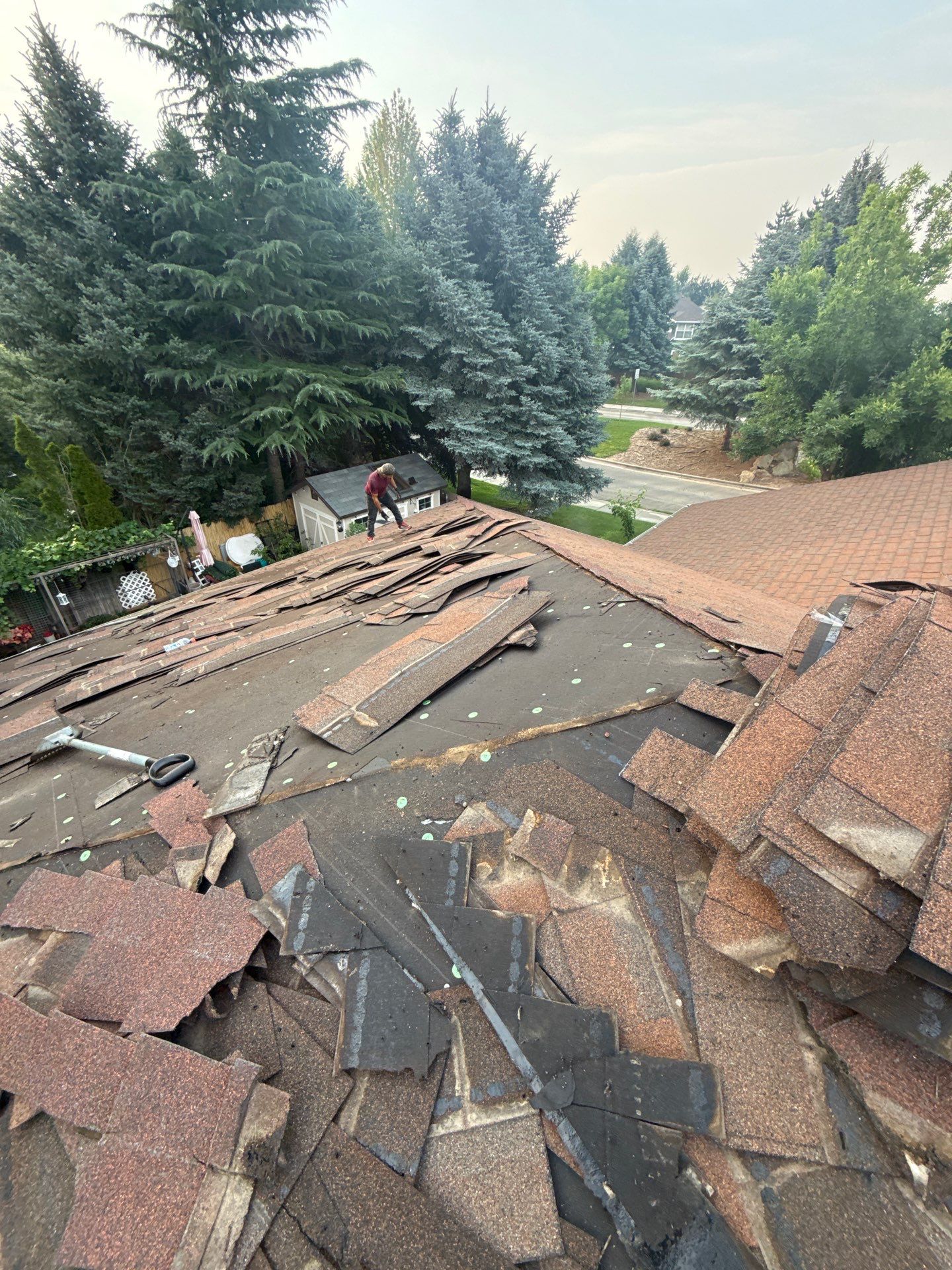 Boise Commercial Roof Replacement with Brown Architectural Shingles by Olive Roofing
