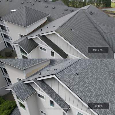 Condo complex on Lake Washington in Newcastle, WA needed a new roof