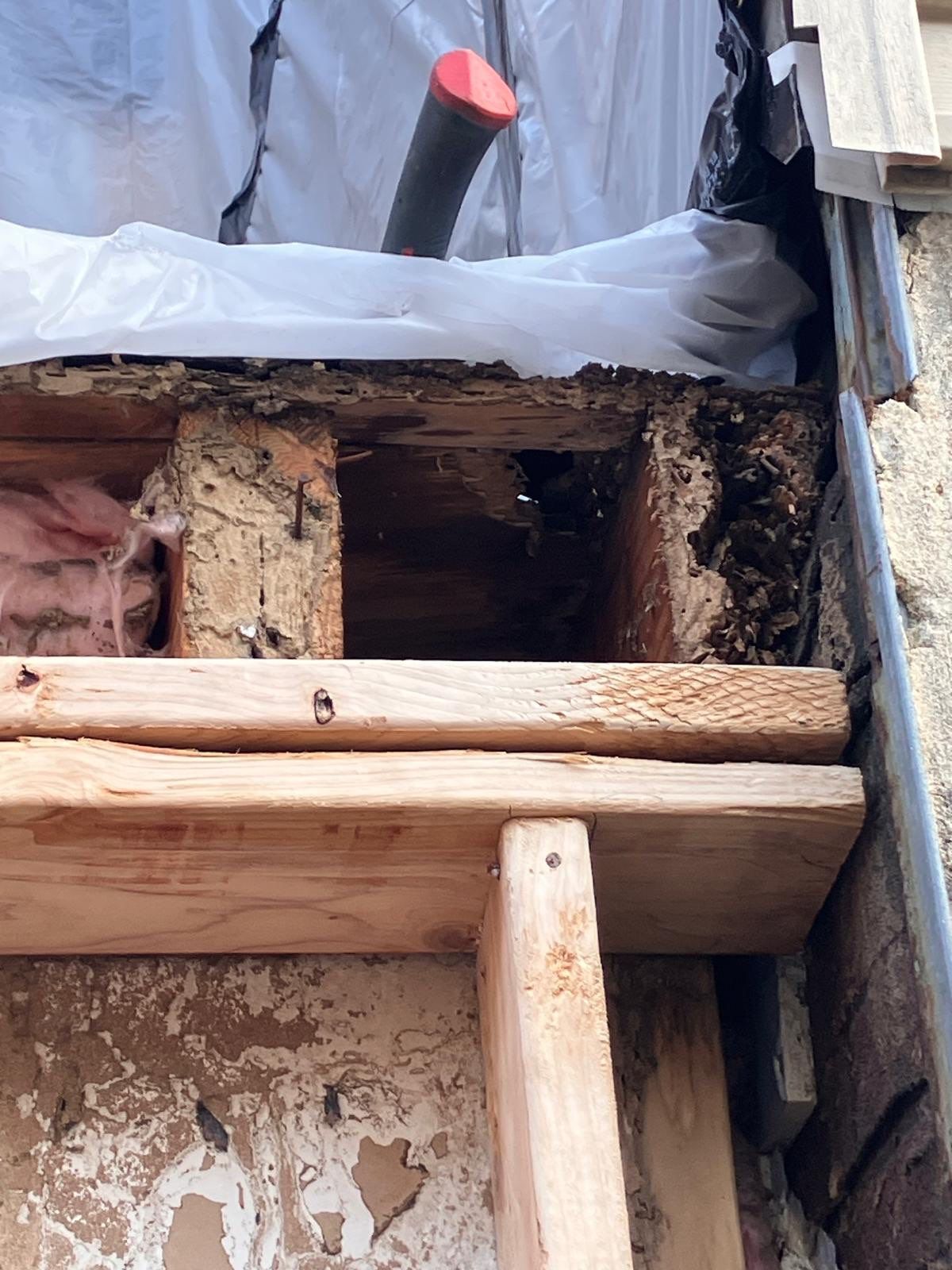 Back Wall Siding Replacement & Breezeway Roof. by Philadelphia Quality Roofing