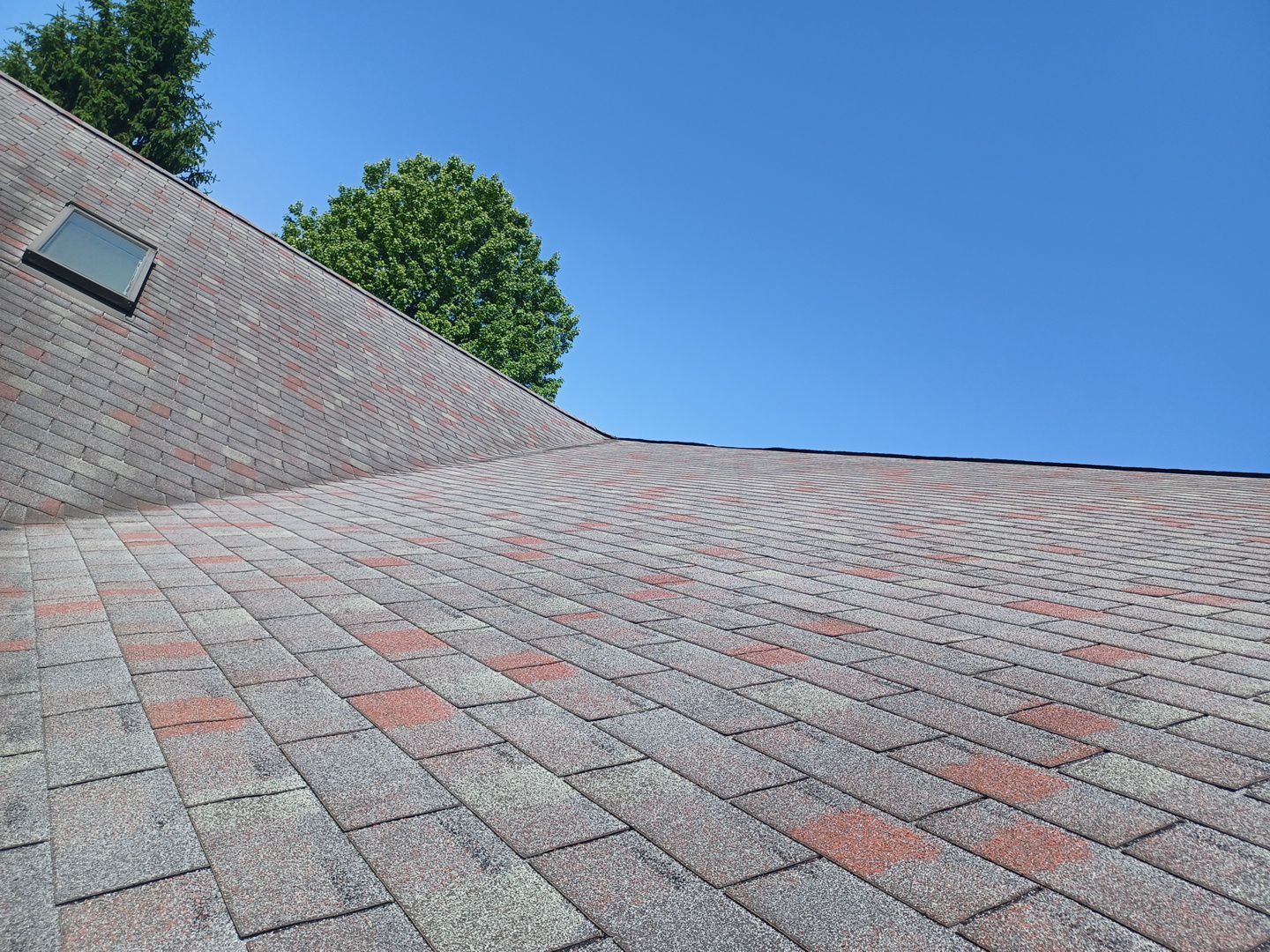Ned Myers by Silver Leaf Contracting 