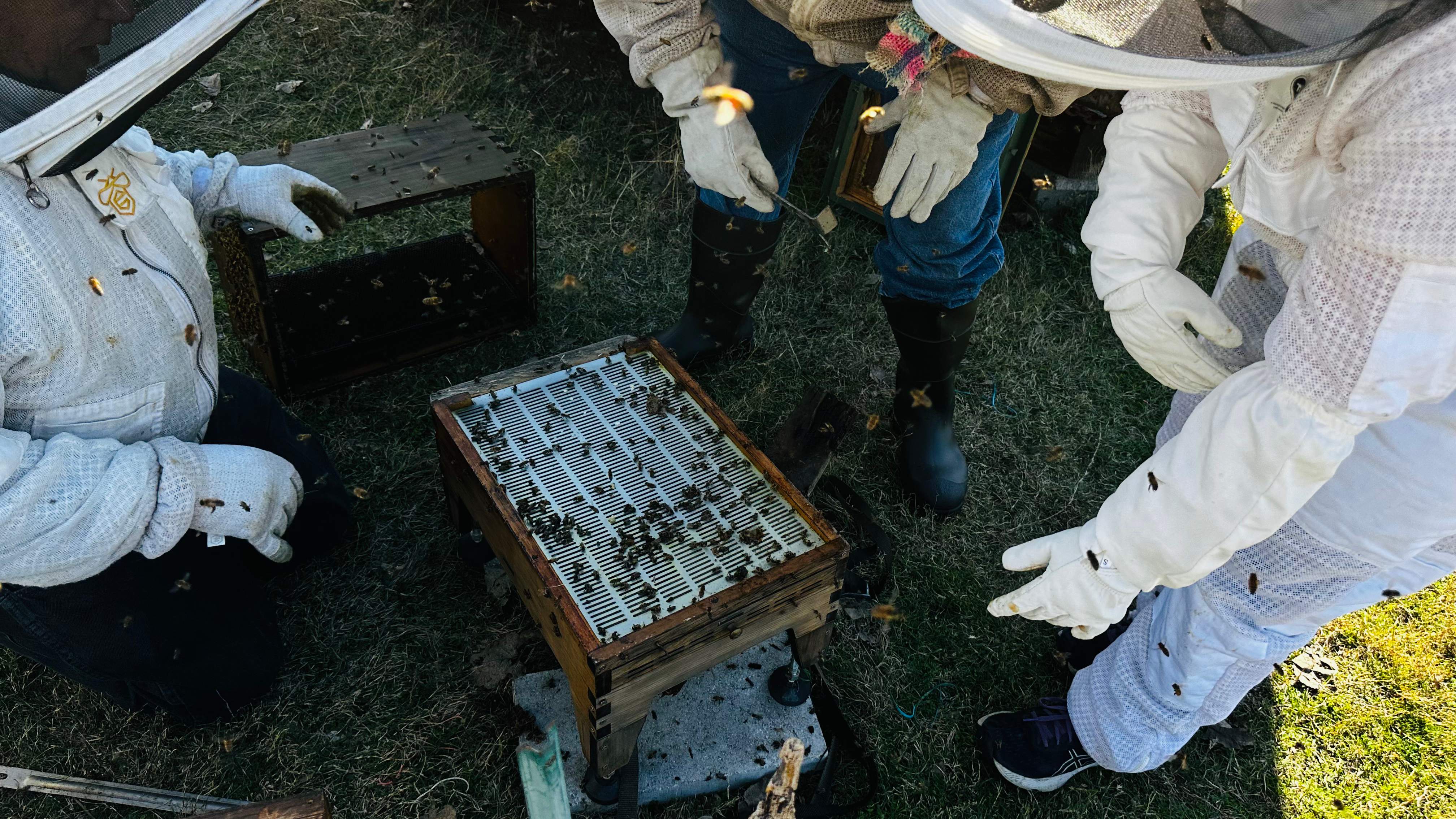 Rockwall Honey Bee Company HQ by Rockwall Honey Bee Company