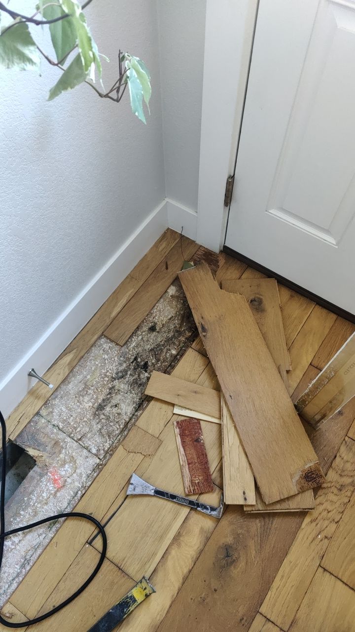 Mold Remediation  by Accountable Home Services