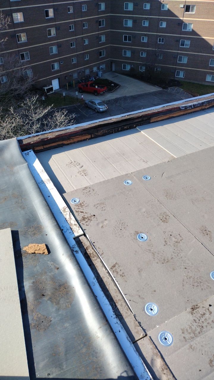 Commercial flat roof parma by Absolute Roofing and Construction