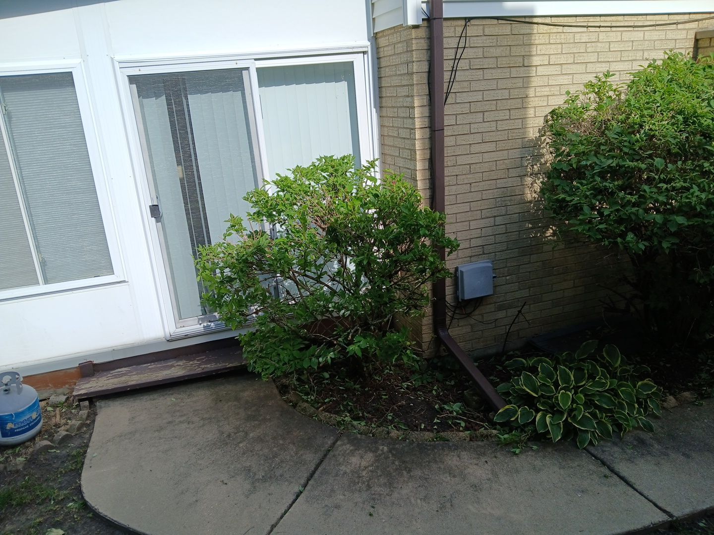 Andrew L. - Arlington Heights, IL by A&N