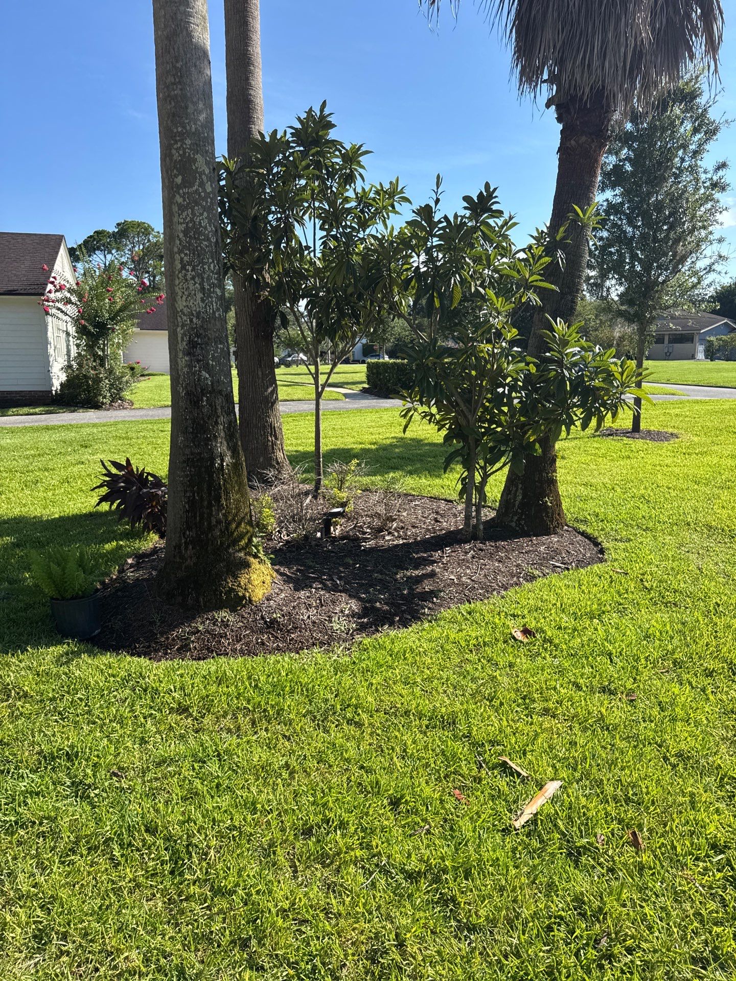 Deerwood Resident | Bed Design & Upgrade by ProGreen Services
