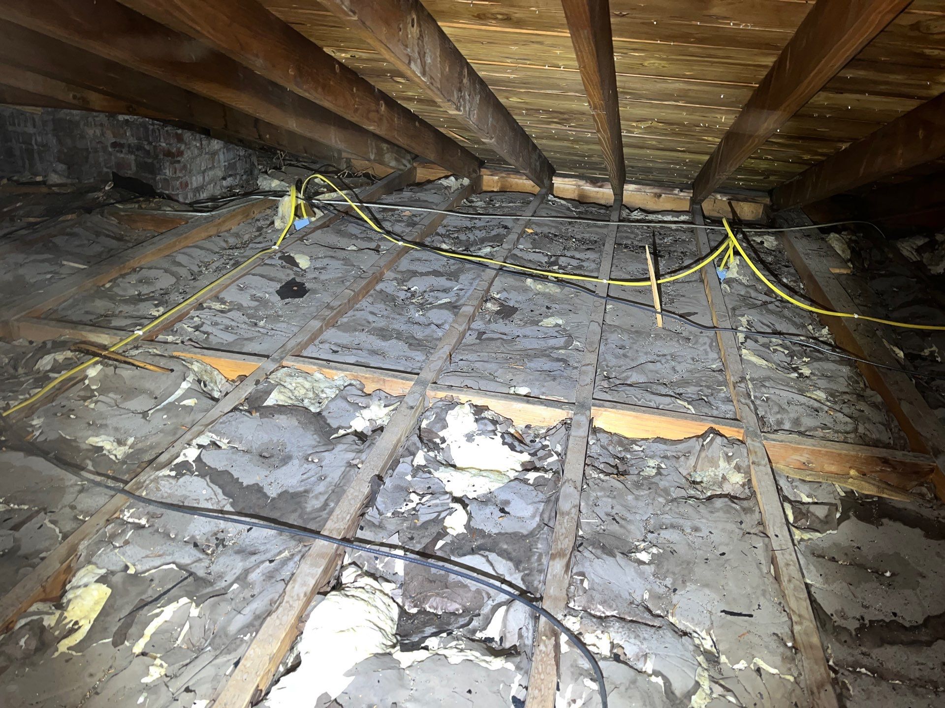 Blown-In Attic Insulation and Rodent Remediation in Canonsburg by Home Environment Solutions