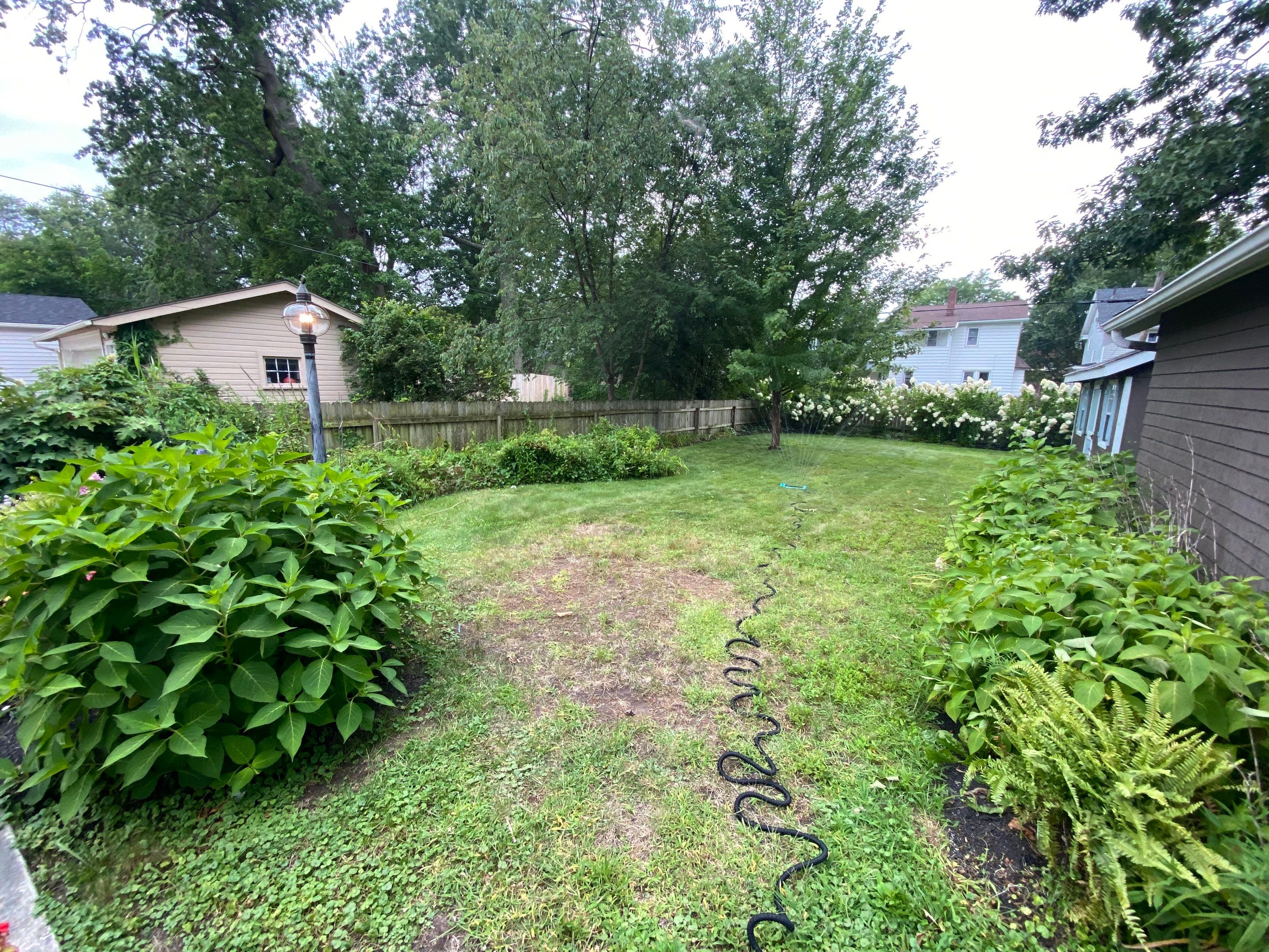 Pollinator Paradise Project by Elm Rose Gardens