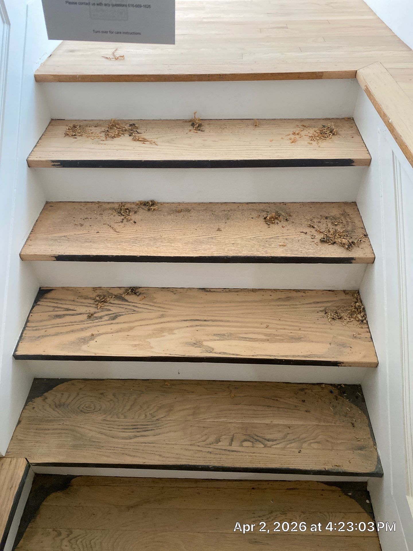 A Timeless Beauty by RTBaldwin Hardwood Floors