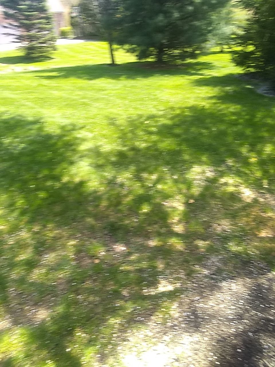 Tree Trimming using Tree Pruing by Mike Jones & Sons Tree Service LLC 