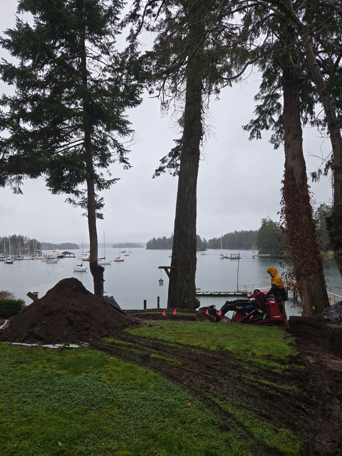 Coastal Landscape Restoration & Retaining Structure - In progress by Habanero Garden and Exterior Care