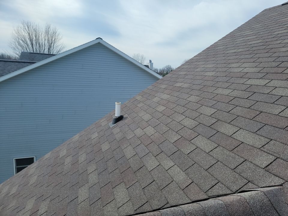 Leisa Robinson by Silver Leaf Contracting 