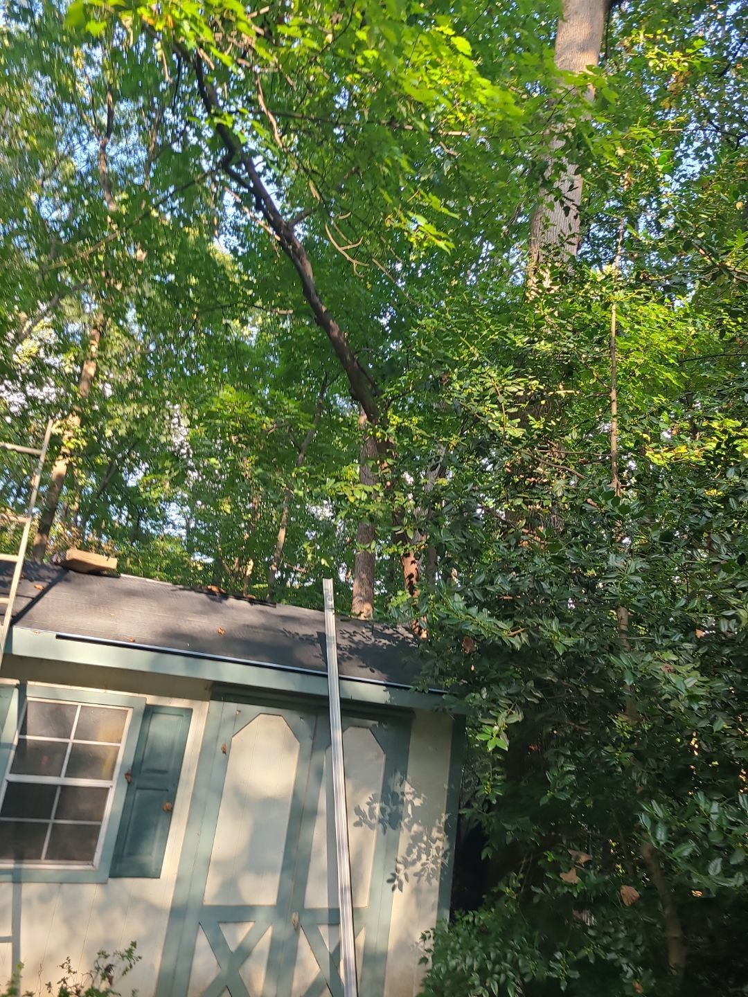 Fairfax Station: Residential Roof Replacement with CertainTeed Landmark Pro Designer Shingles in Max Def Heather Blend by RM Banning, Inc.