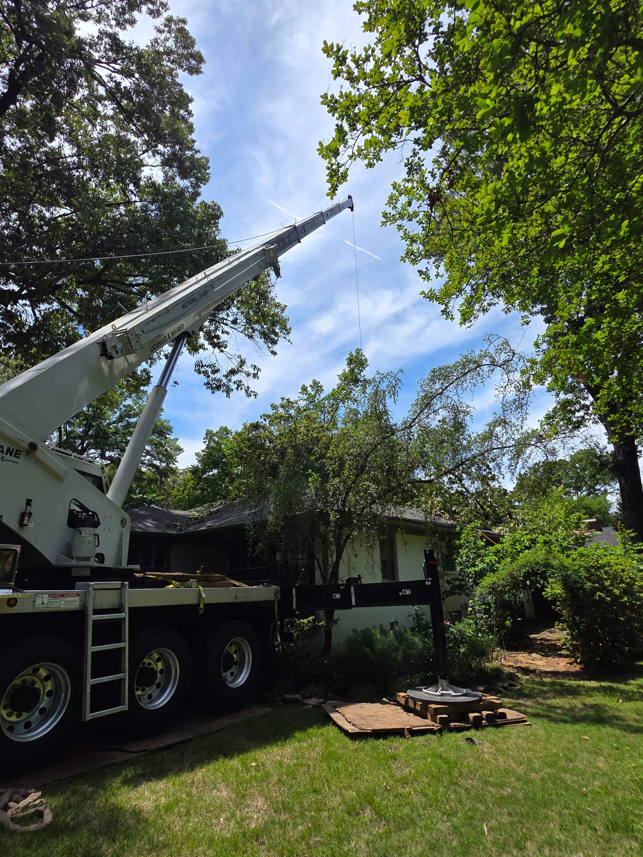 Tree Damage Restoration and Asphalt Shingle Roof Replacement in Memphis by Revival Roofing Services