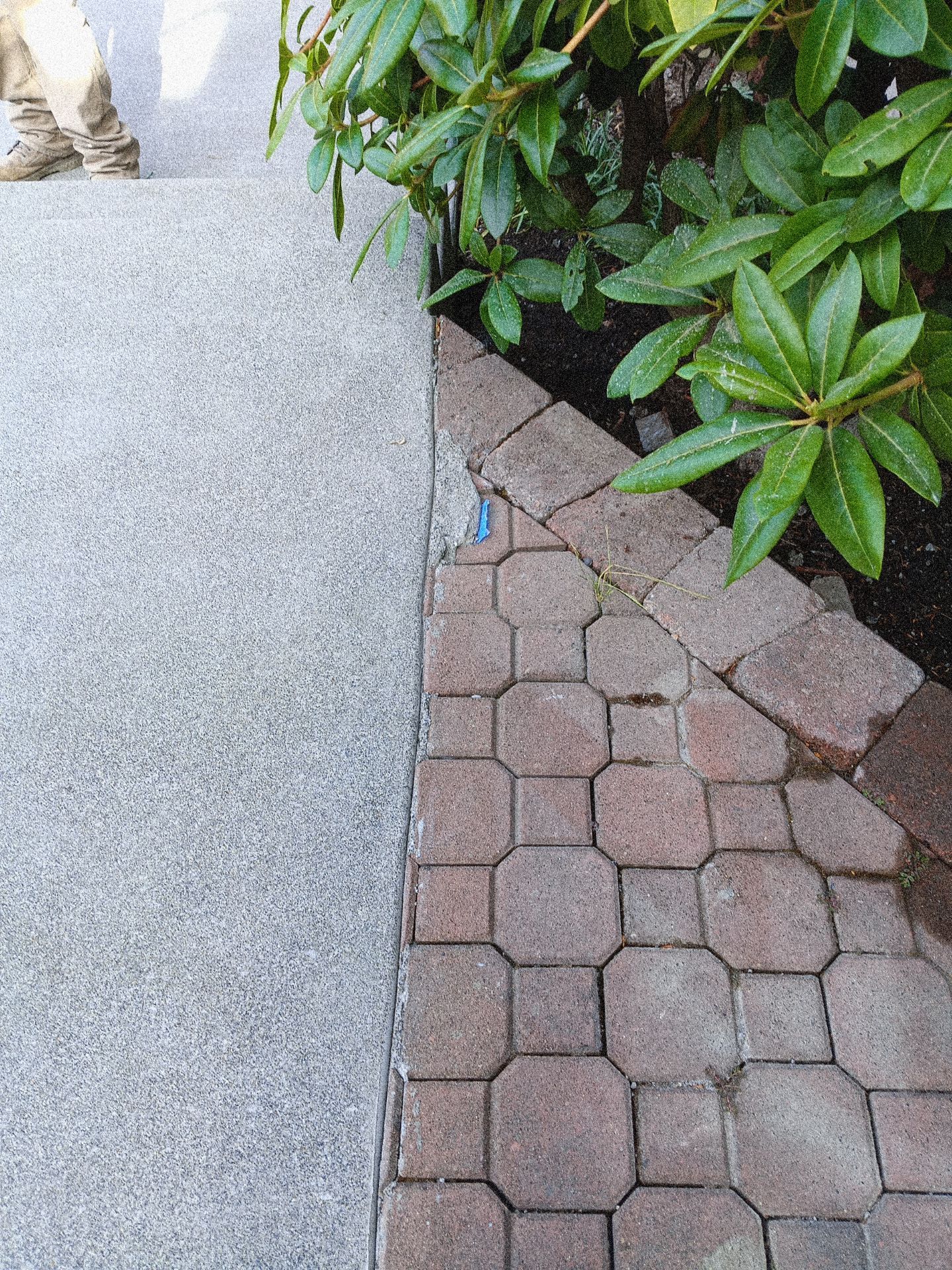 Concrete Driveway Repair | Edmonds  by Jireh Asphalt & Concrete Inc 