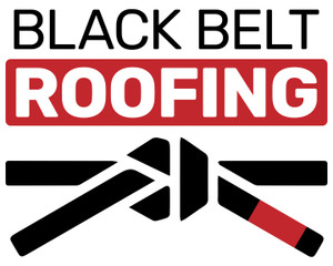 Logo for Black Belt Roofing