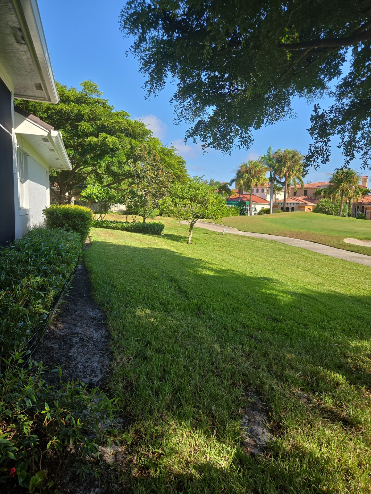 Palm Cove Perfection – Where Every Frond Tells a Story by Alpha Zeta Enterprises Inc