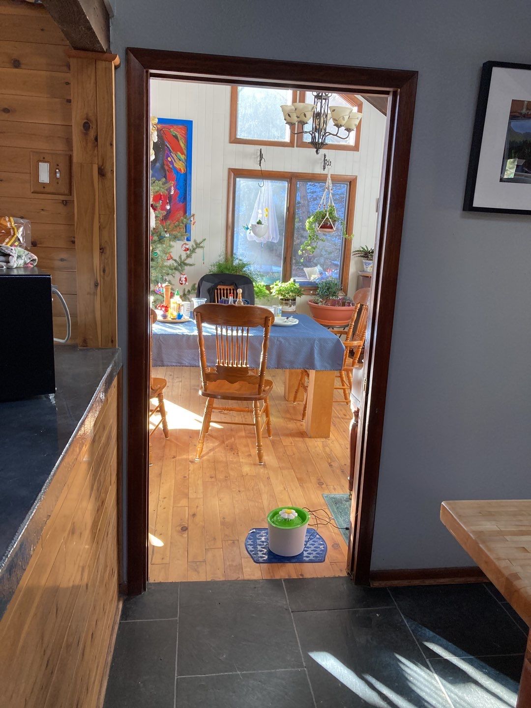 Mold Remediation using Containment by Accountable Home Services