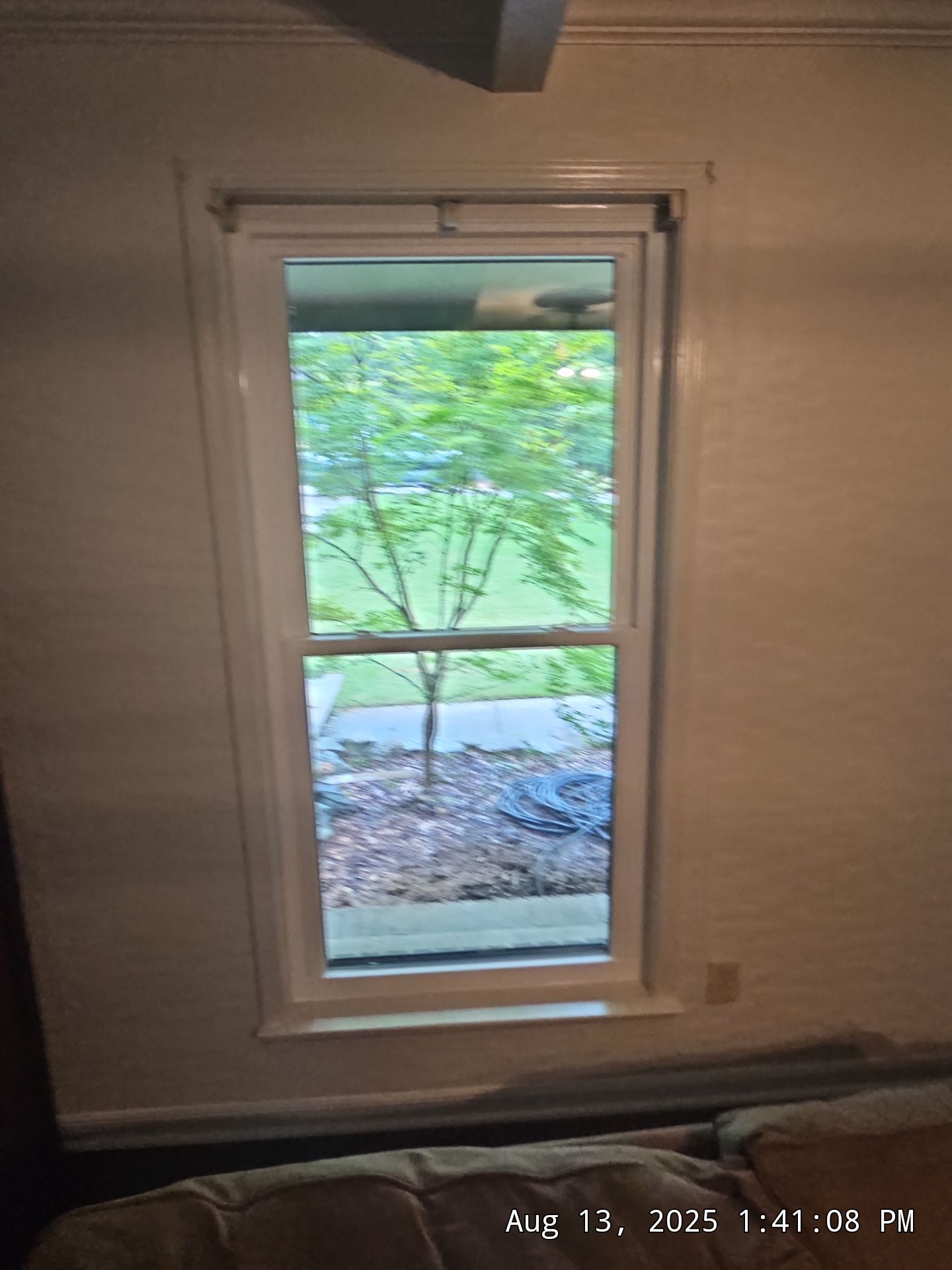 Reed Project in Chelsea by The Window Source