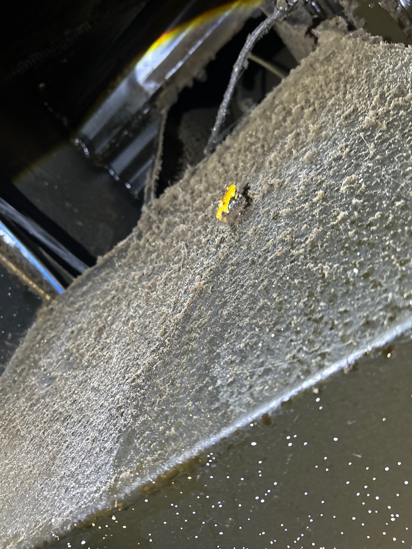 Commercial Building Mold Removal In Clearwater by Ampm Restoration Services