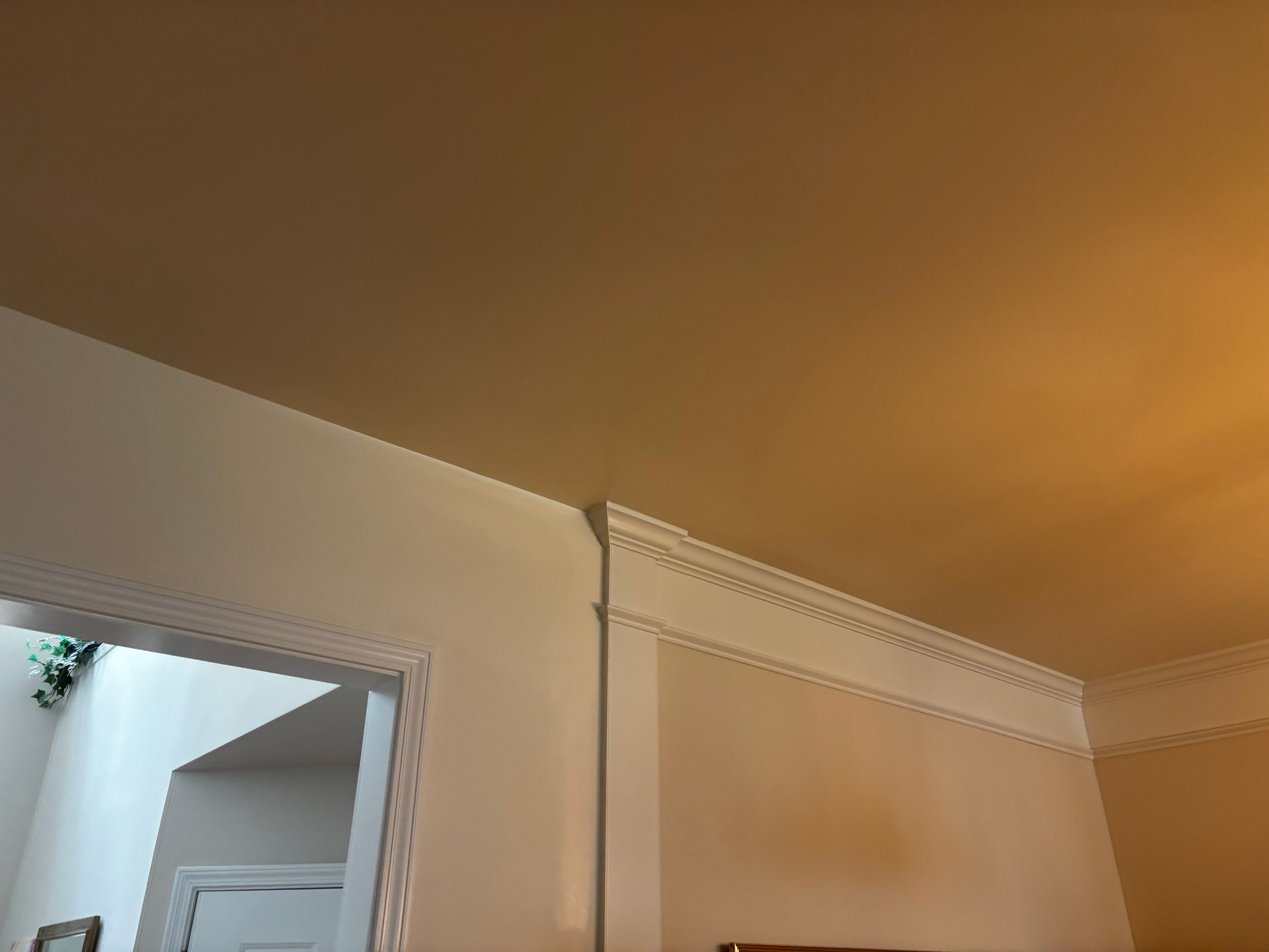 Interior Ceiling Drywall Repair and Professional Painting in Griffin by PGP Surface Solutions, LLC