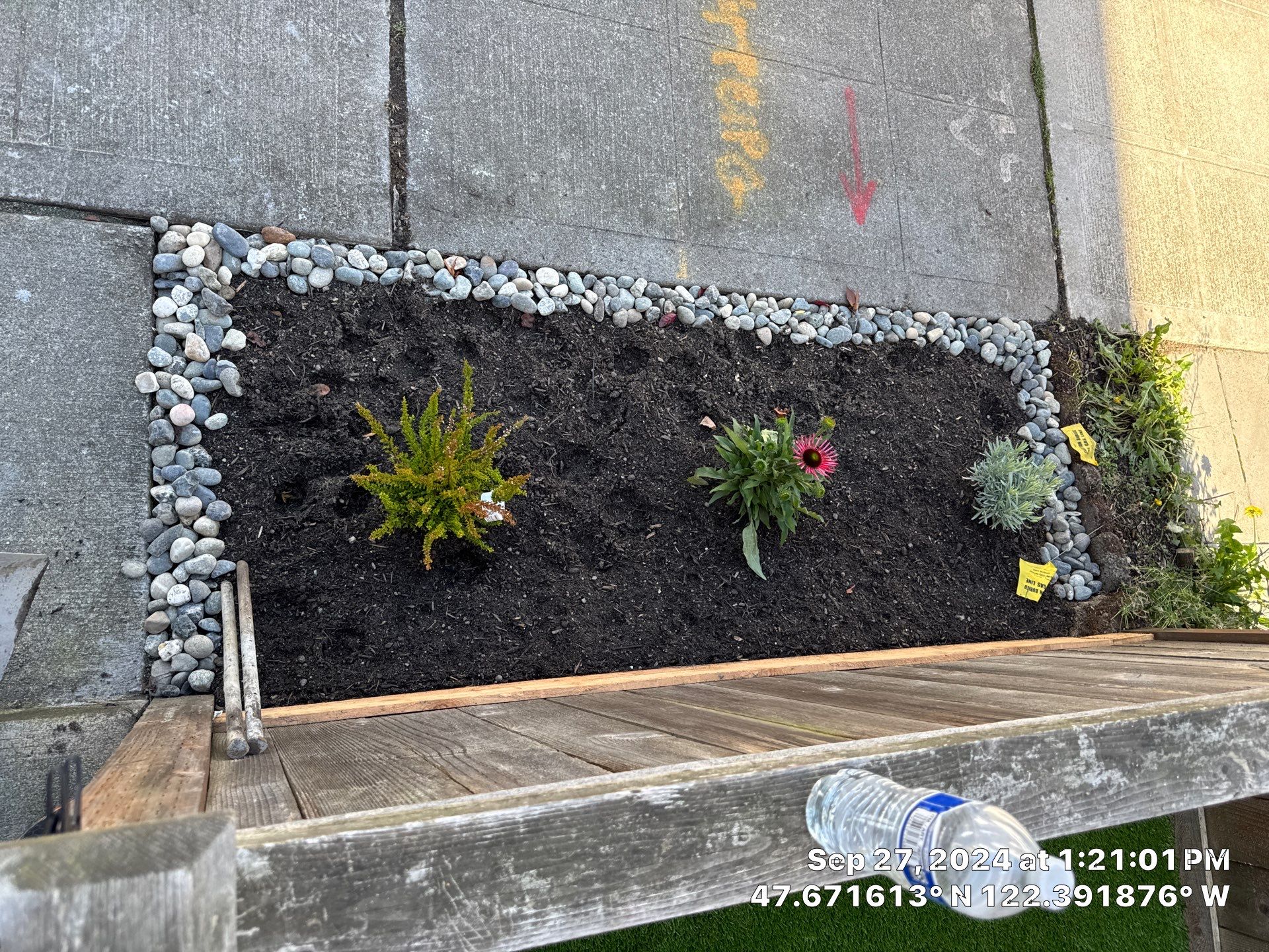 Paver Walkway & Turf Installation | Seattle  by Jireh Asphalt & Concrete Inc 