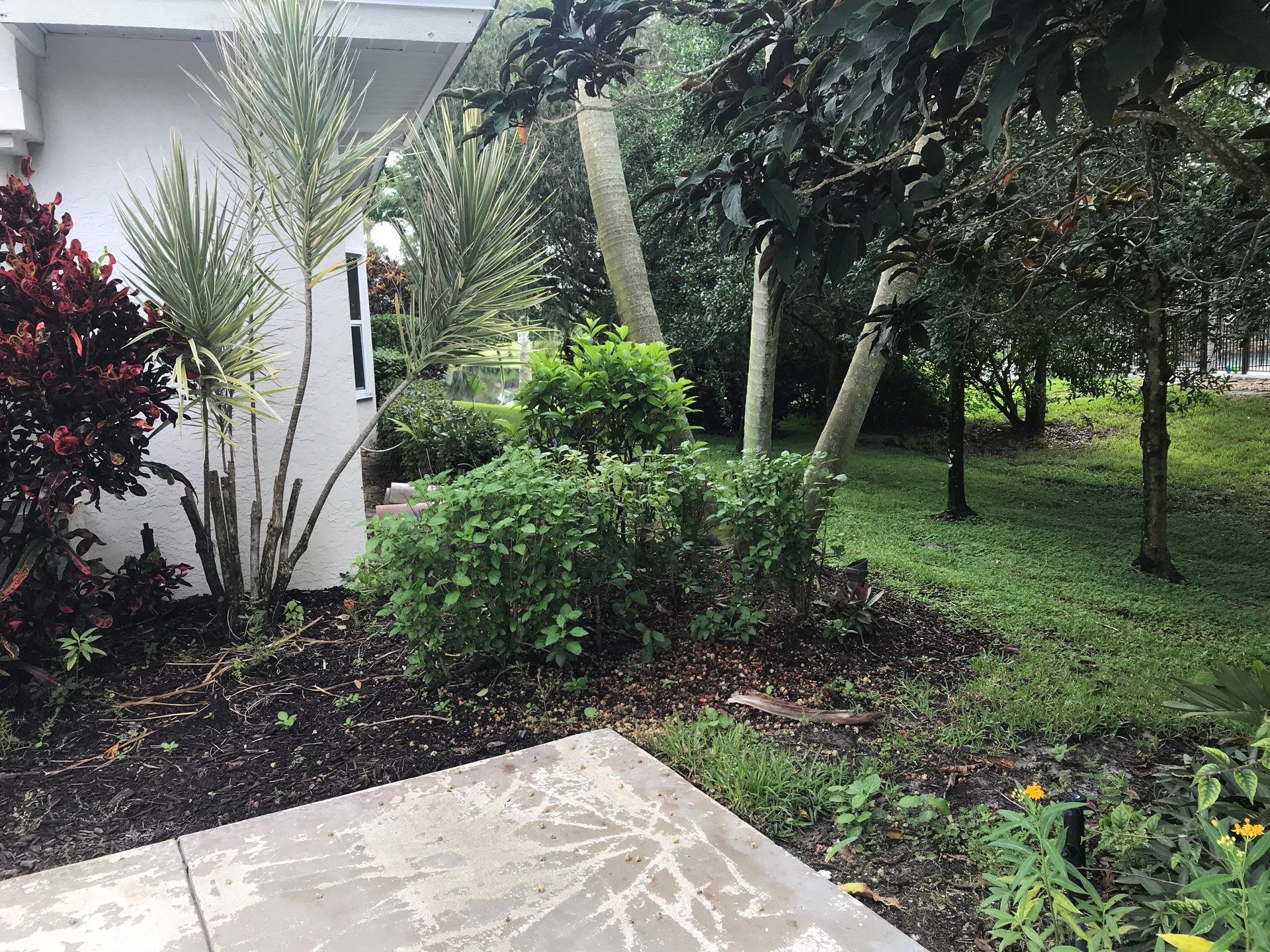 🌴 Landscape Removal and Install in Palm City by Alpha Zeta Enterprises Inc