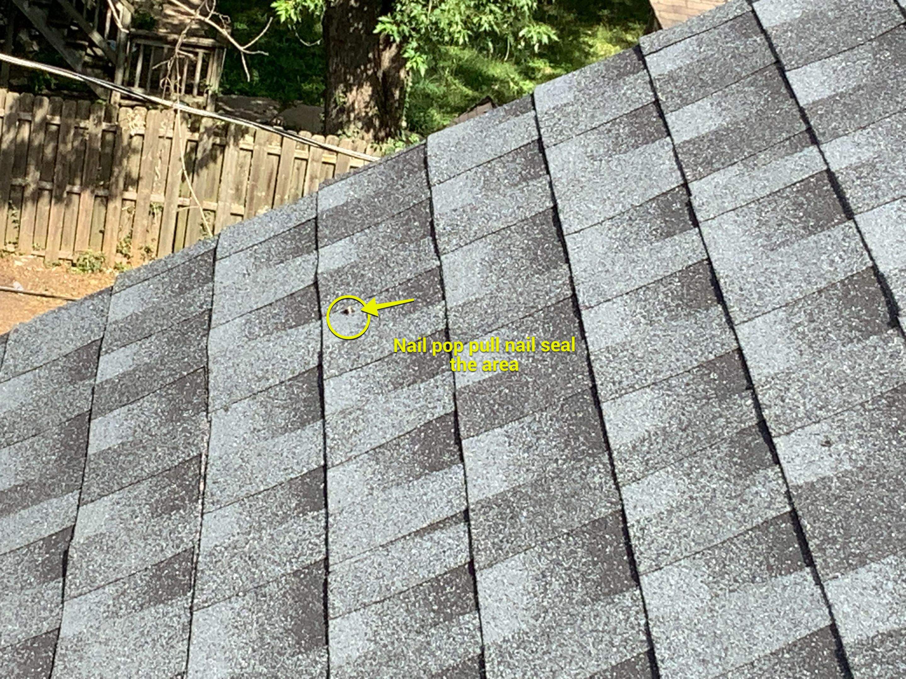 Residential Roofing Repair using Ridge Vent  by Alpha Design Services