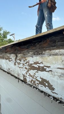 Turtle Shell gutter protection installation in Stickney, IL 60402, photograph 18