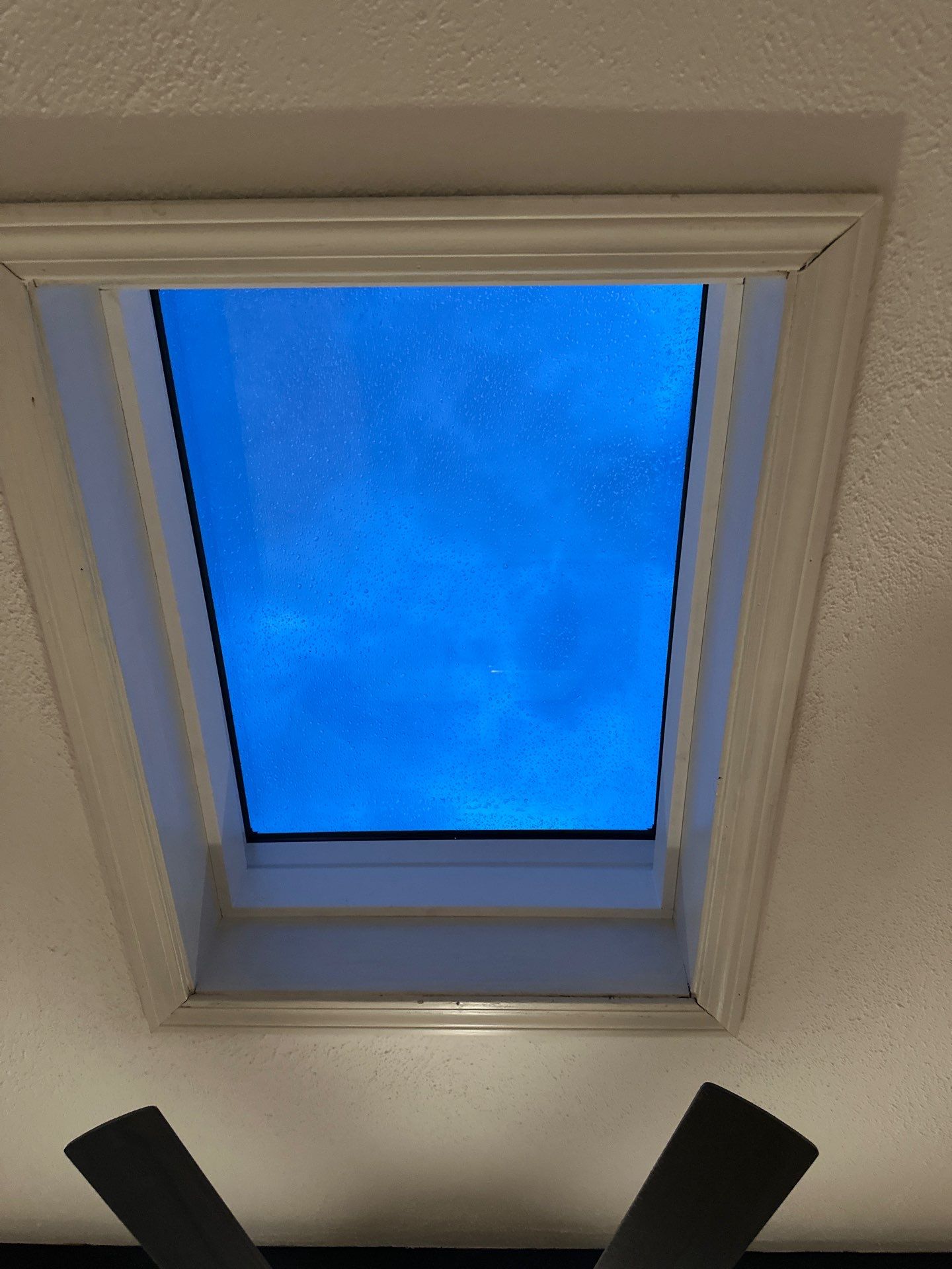 Flat Roofing & Skylights | Westford by Mighty Dog Roofing of Greater Middlesex County