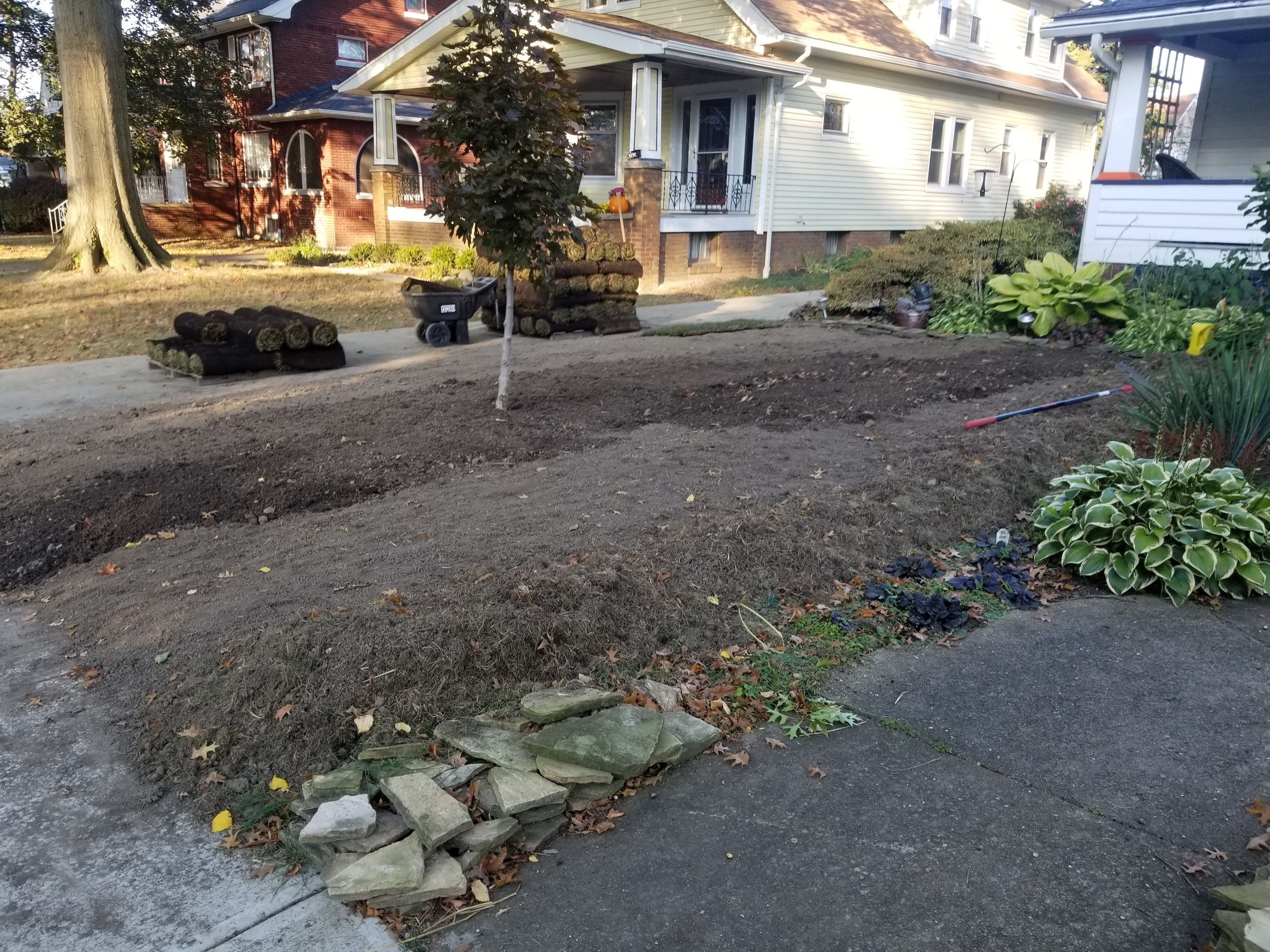 Woodland Island Project by Elm Rose Gardens