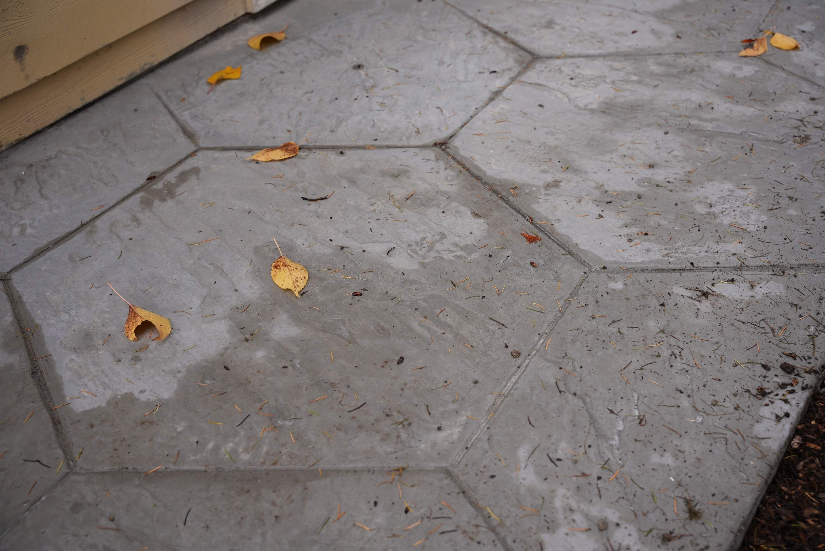 Piotr | Concrete Driveway Repair  by Jireh Asphalt & Concrete Inc 