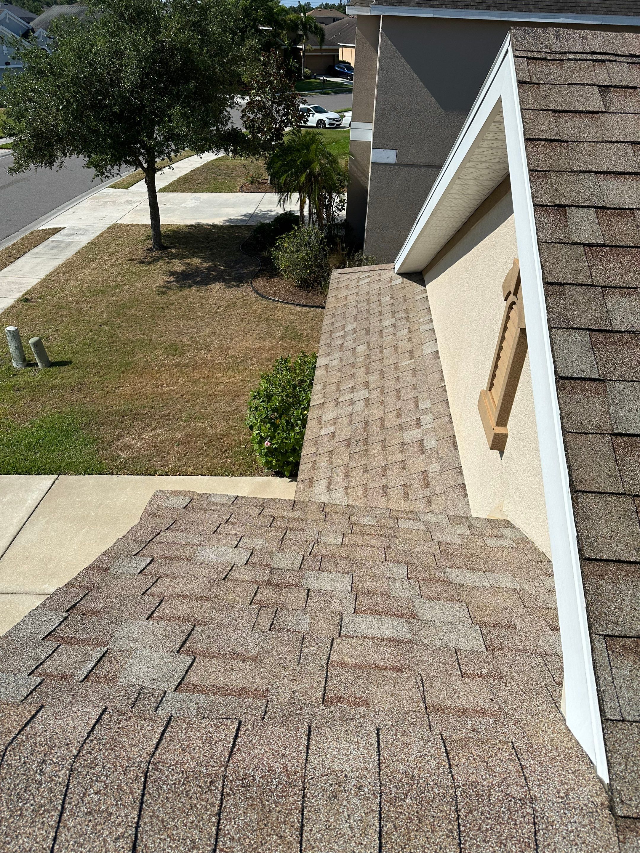 Asphalt Shingle Roof Soft Wash Cleaning & Concrete Pressure Washing in CopperStone Community, Parrish, FL by Sunshine AquaWash