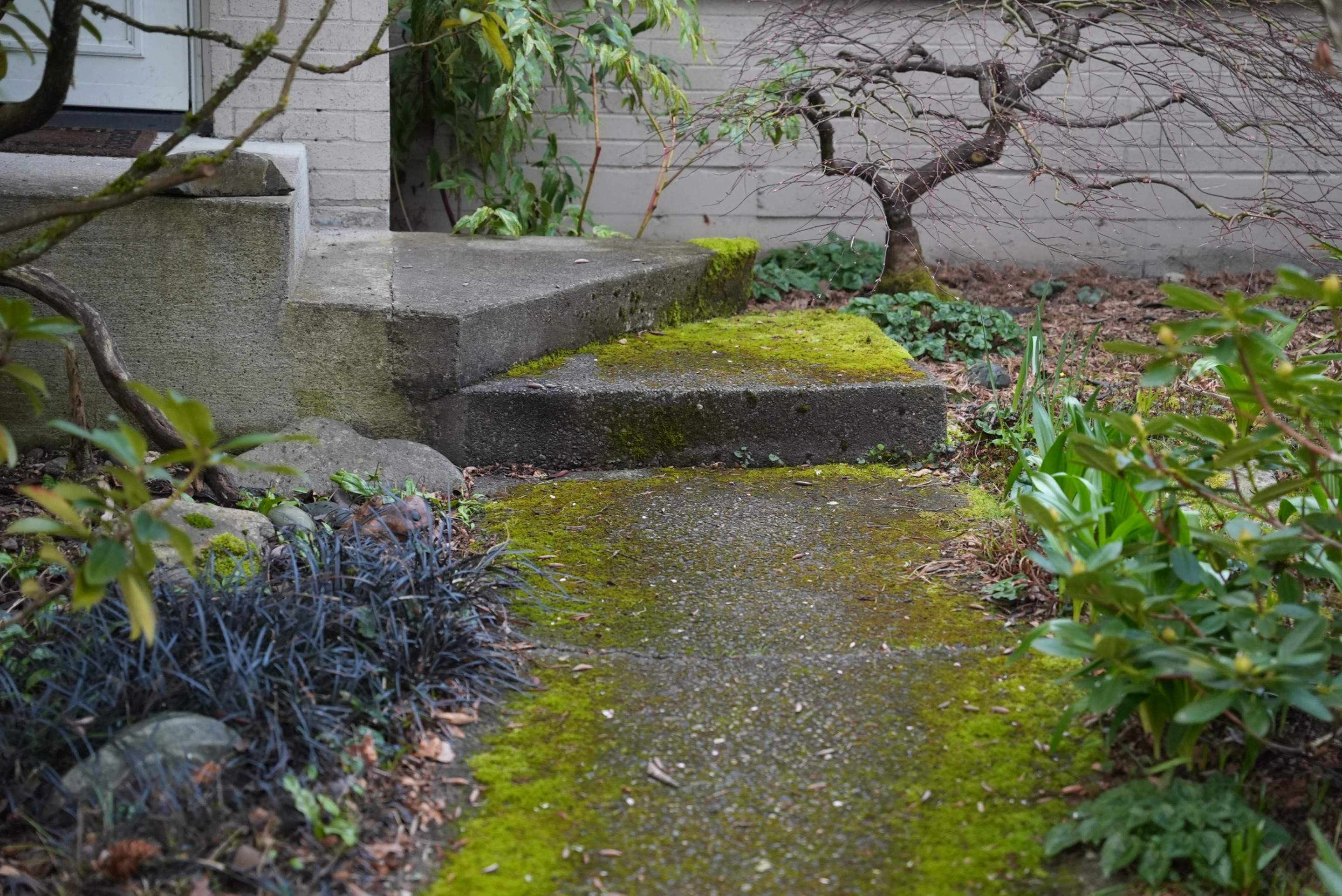 Pavers Driveway & Walkway with Concrete Lip | Seattle  by Jireh Asphalt & Concrete Inc 