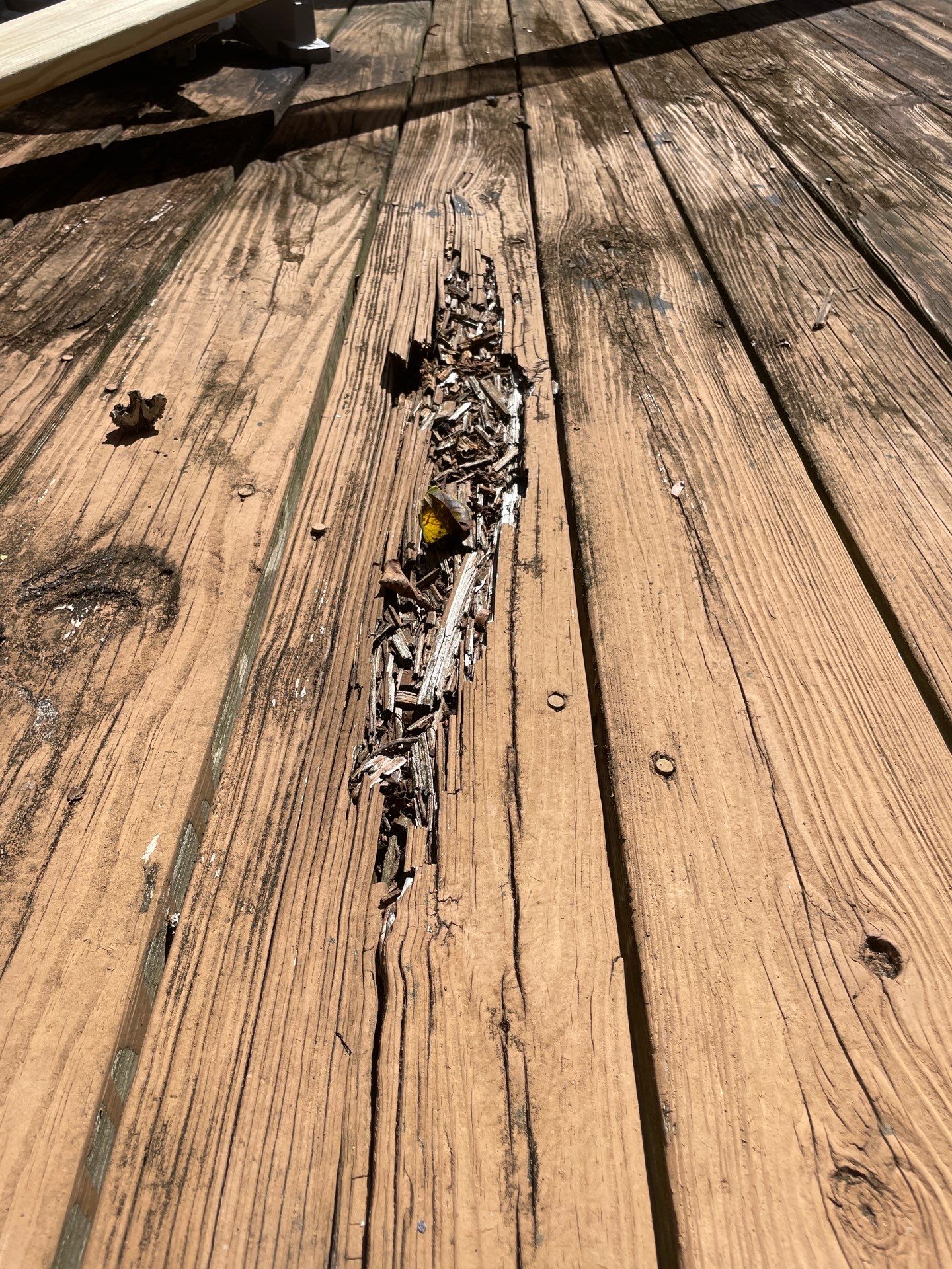 Project in Pikesville, MD by Blue Handyman   LLC