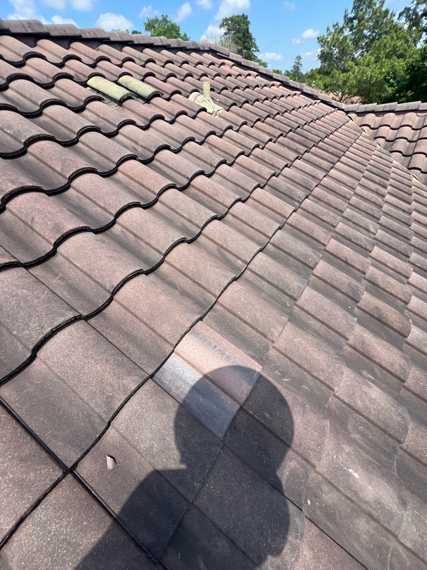 Roof Repair Spring by Roof Repair Company