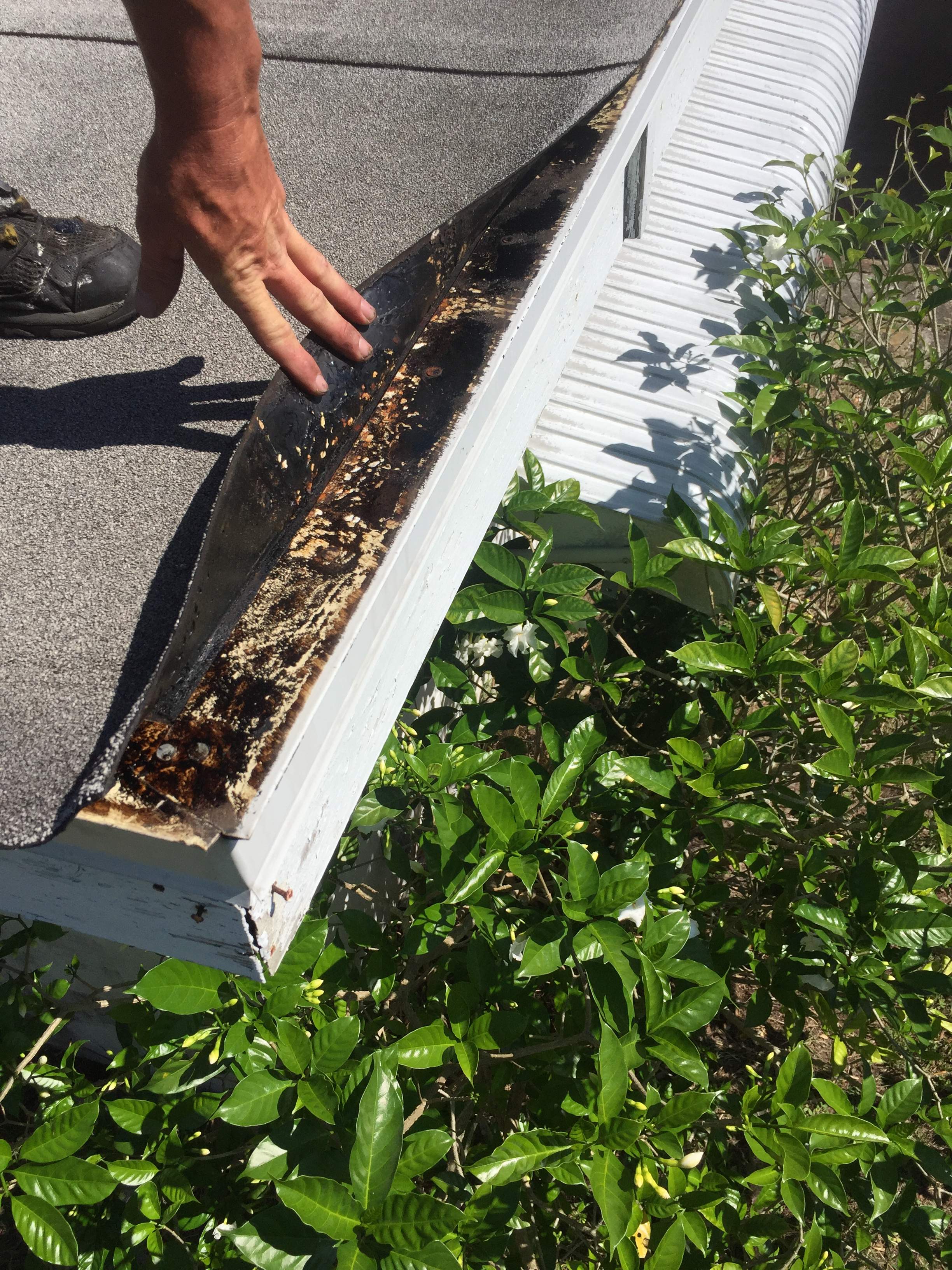 Residential Flat Roof Leak Repair and Membrane Maintenance in Palm Bay by Florida Roofing and Renovations Inc.